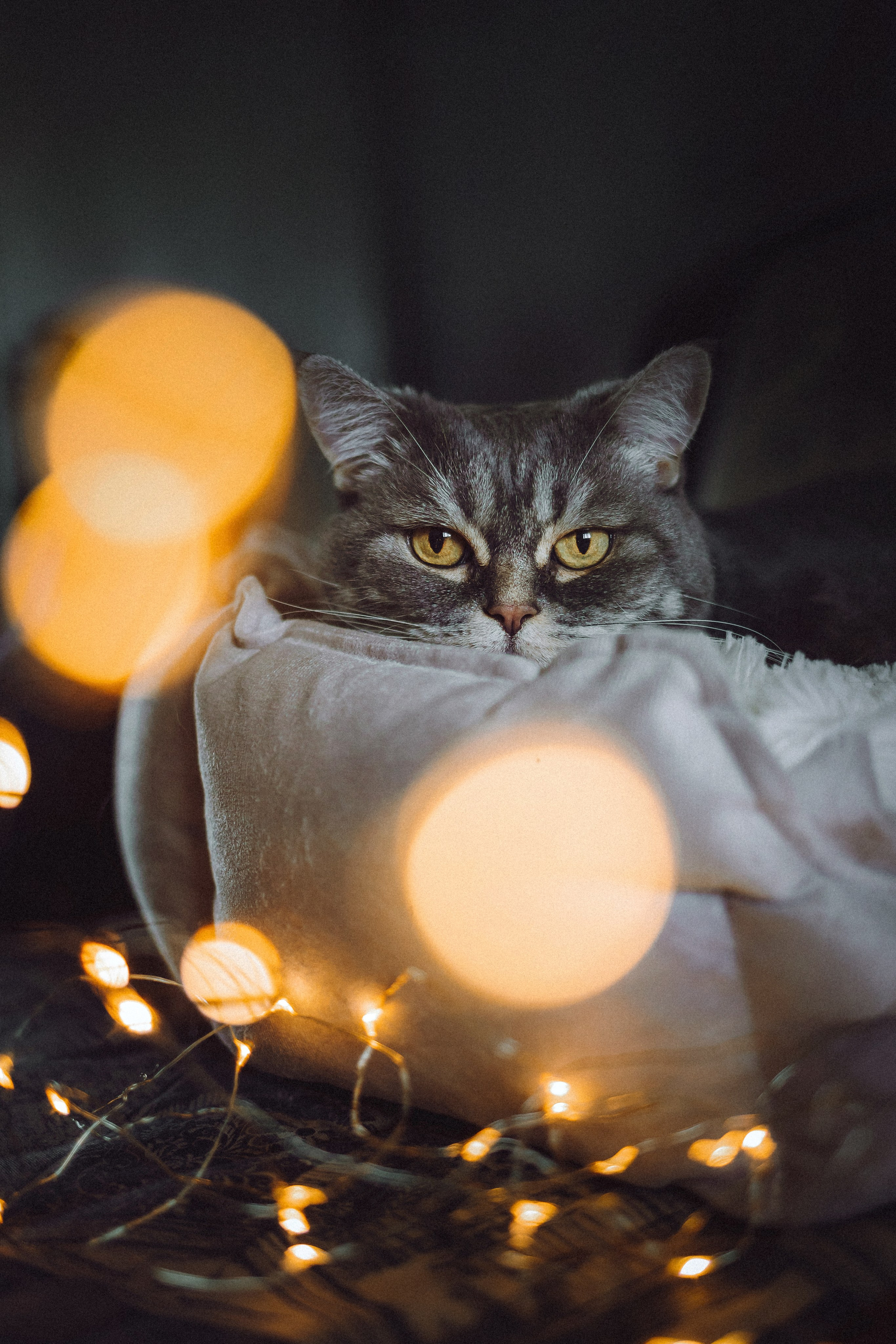 Яся и ее семья