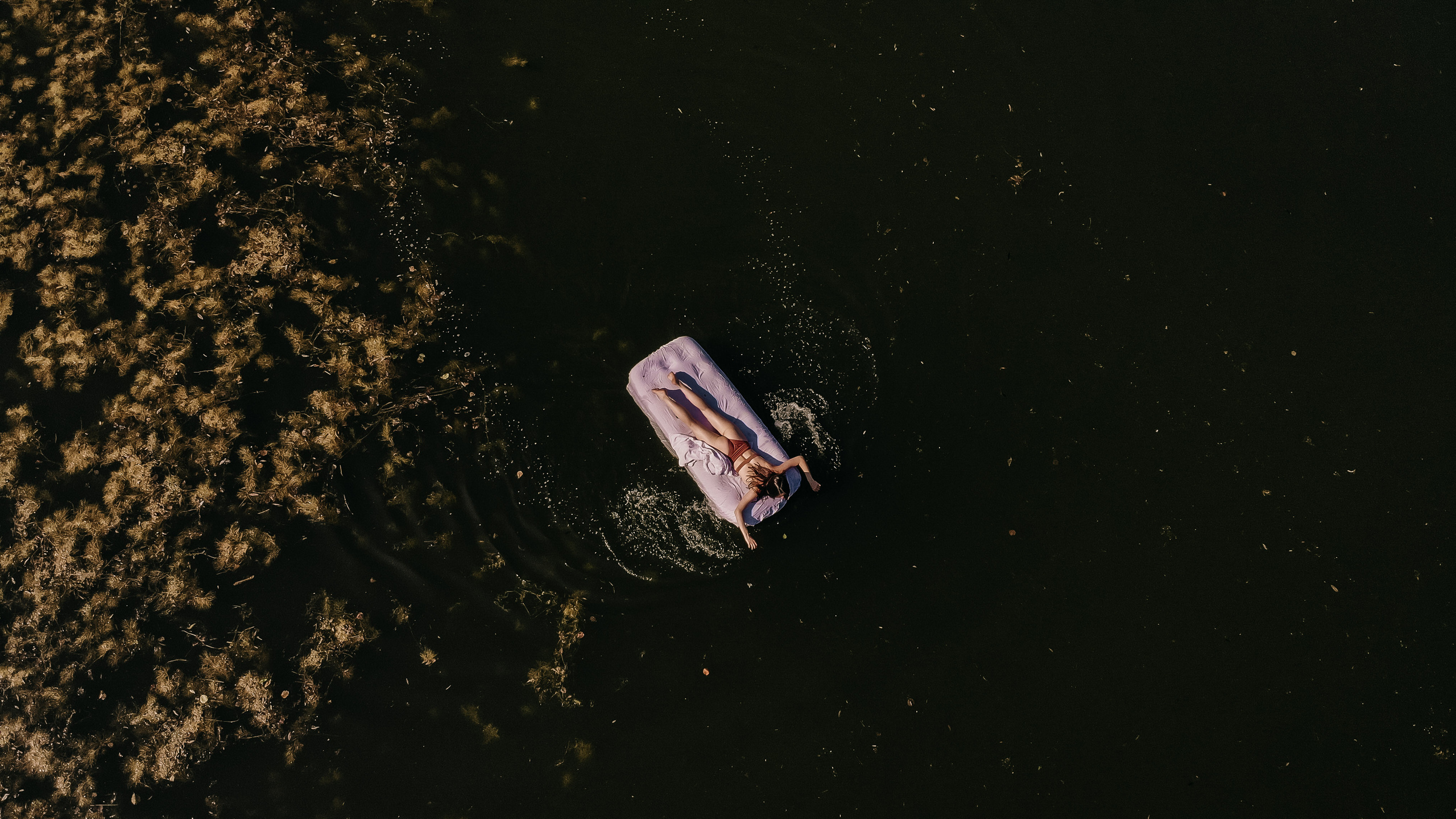 Фотопрогулка, живые эмоции - все это про тебя. Свадебный и семейный фотограф Даша Петрова в Москве и Подмосковье