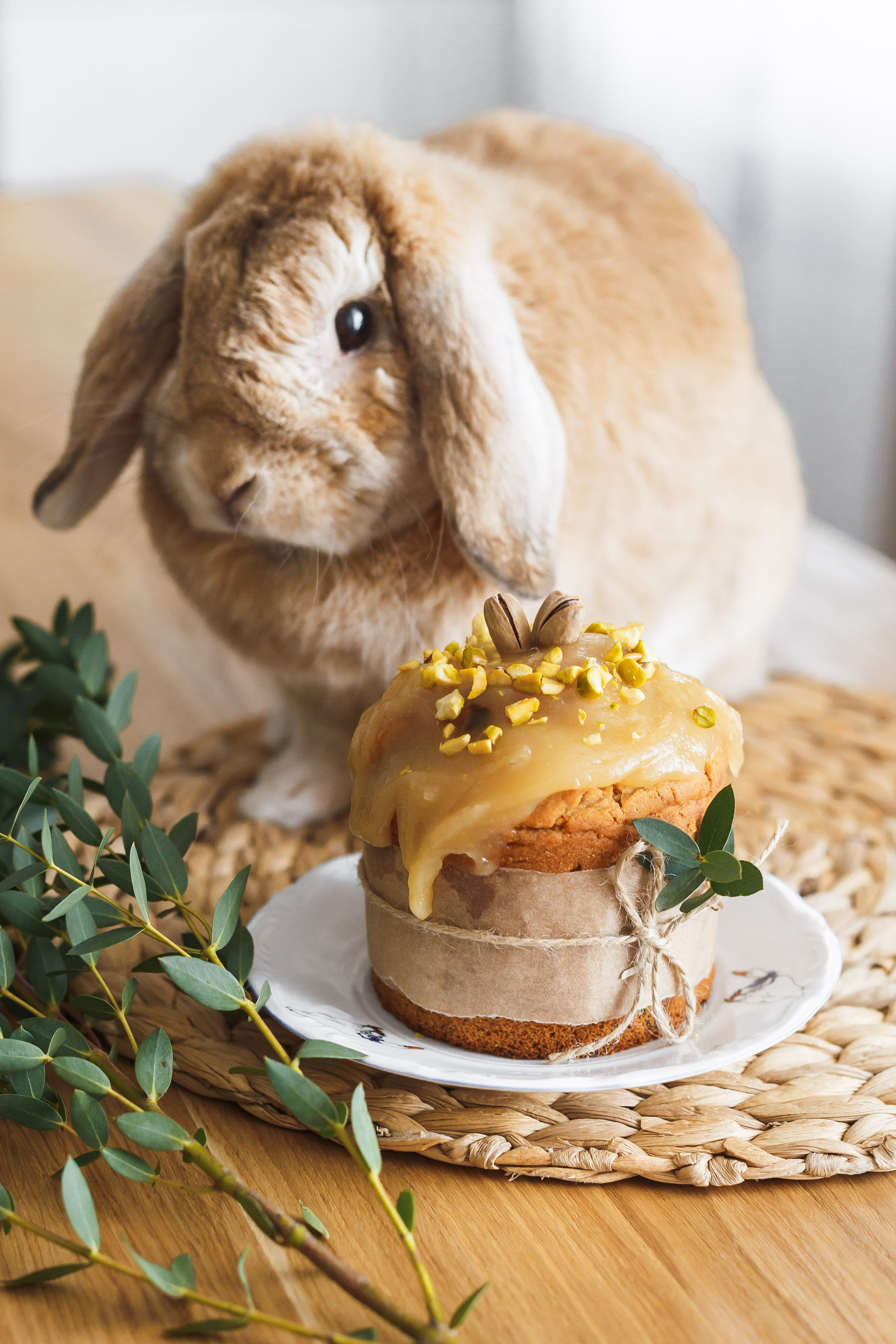 Фуд-съёмка в Кирове