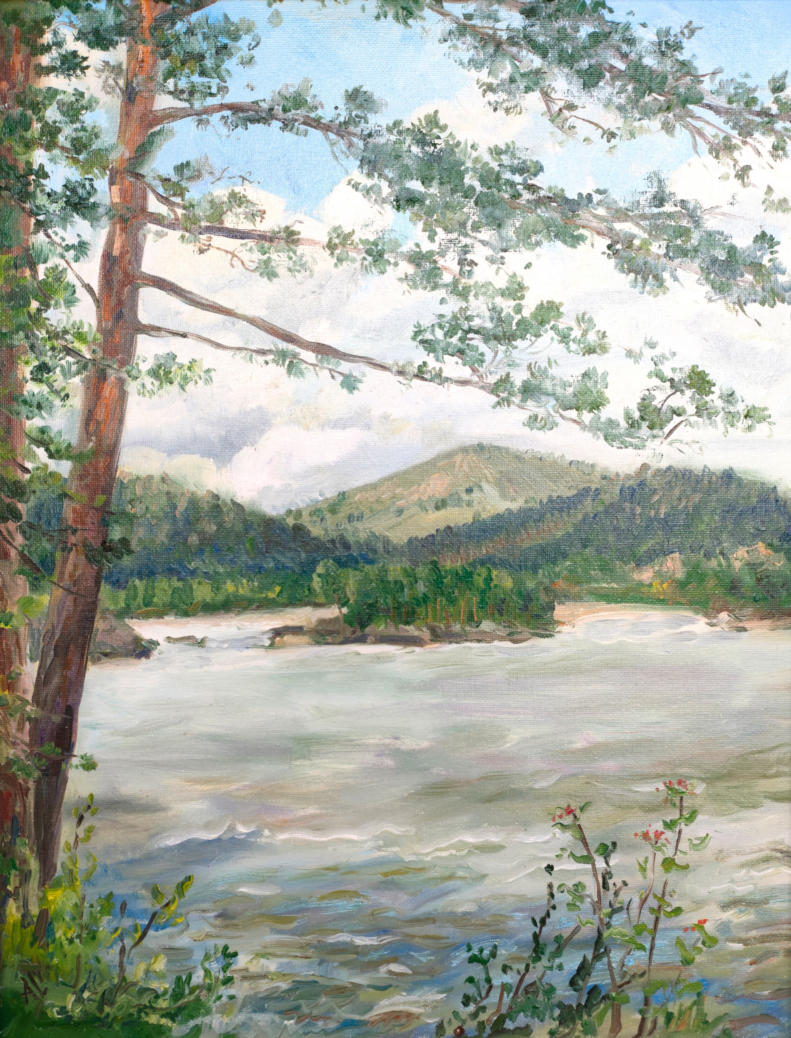 "Алтай, окрестности Манжерока, река Катунь", холст / масло, 2023