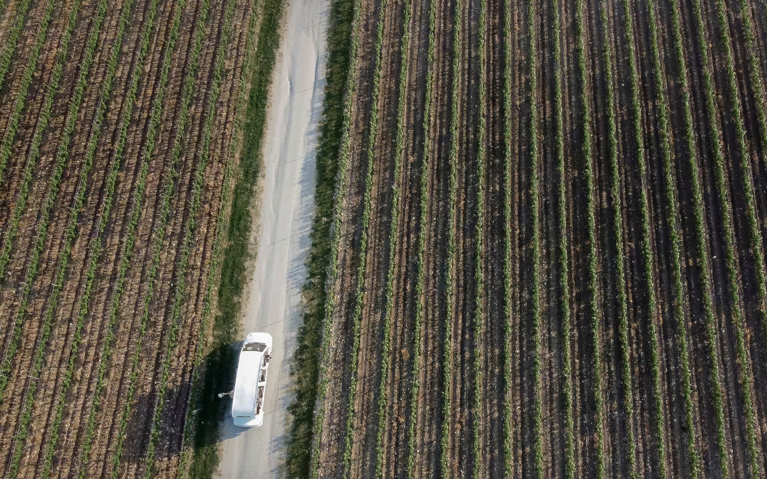 Все без тебя не-так! (Ариша & Дима). Wed Photographers 📷 Saint Petersburg