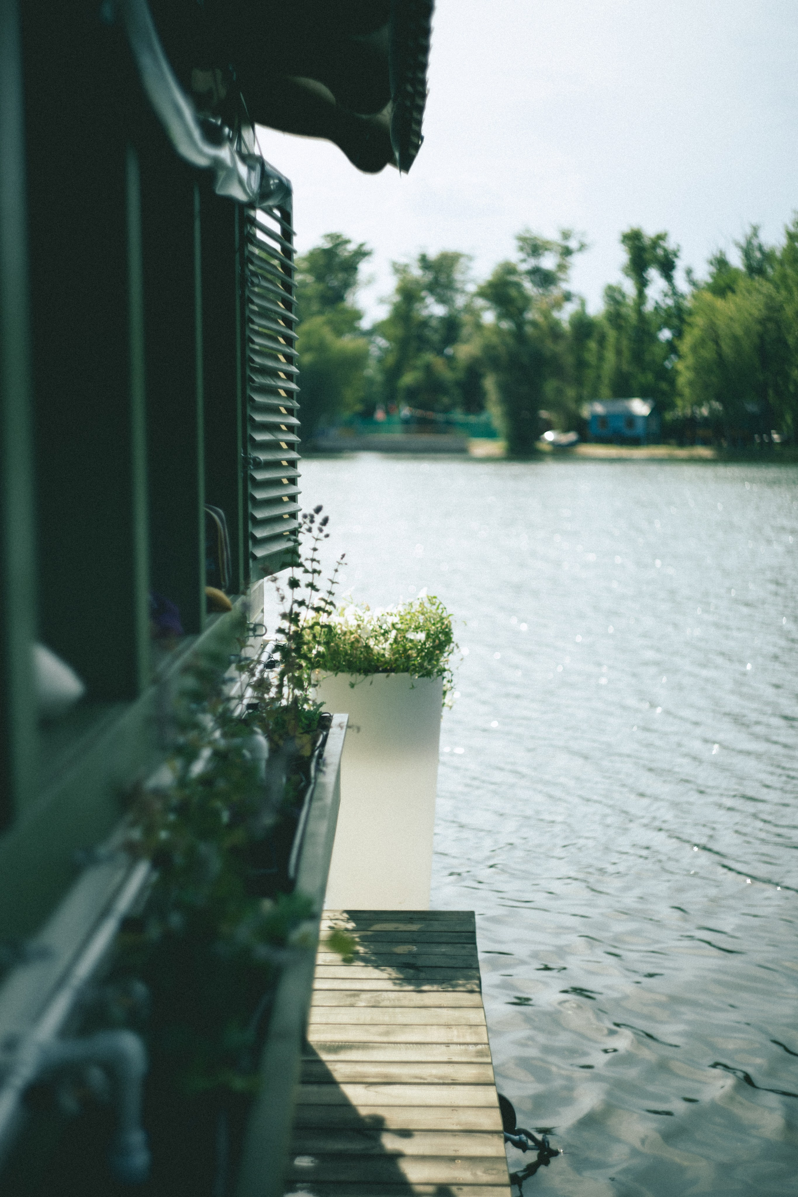 День фотографа, 15.07.25. Портретный и семейный фотограф Наталия Гаврилина, Саратов — Москва