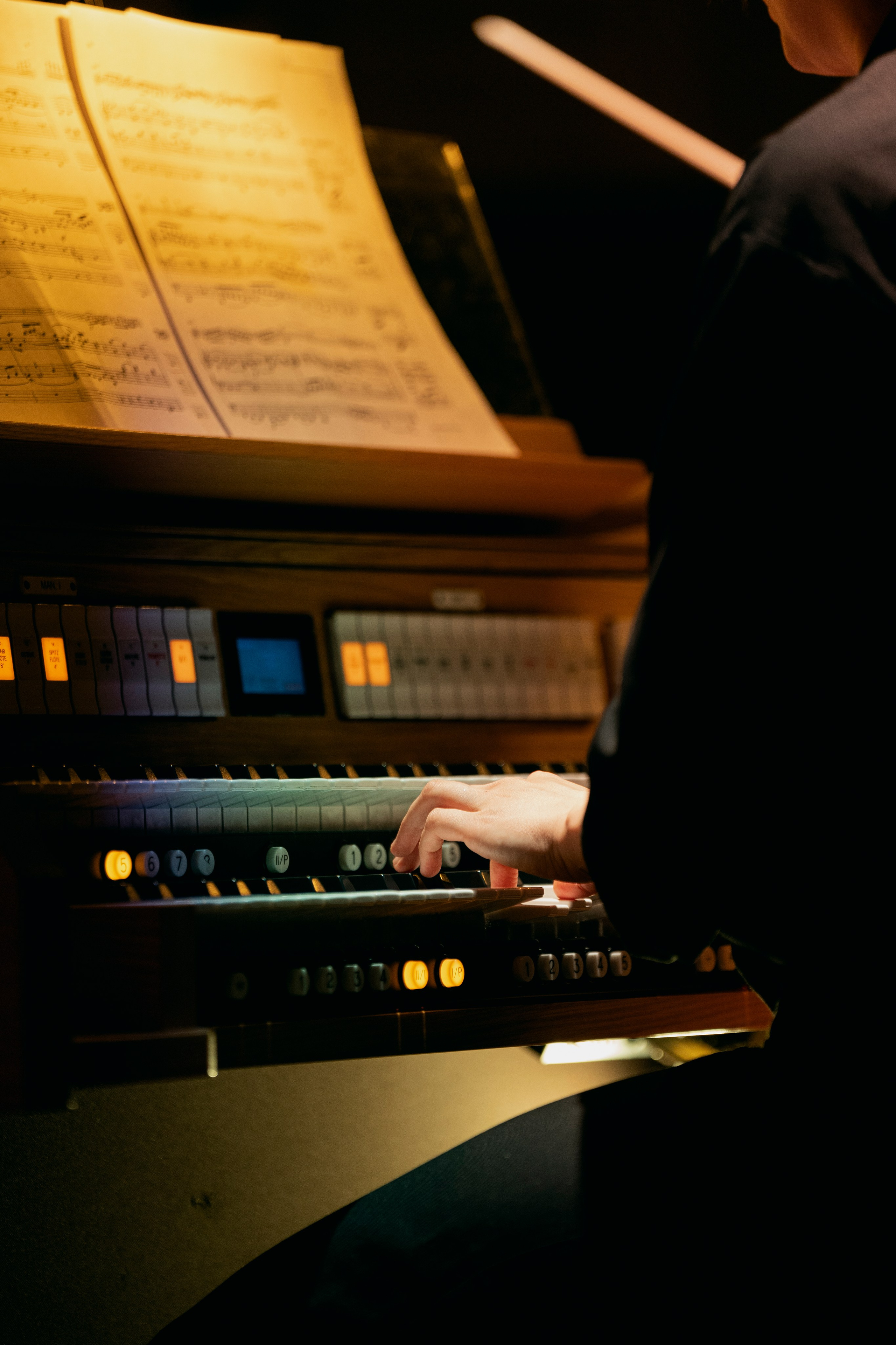 Amadeus Concert. Jaani Kirik. Фотограф Ирина Соколенко Санкт-Петербург