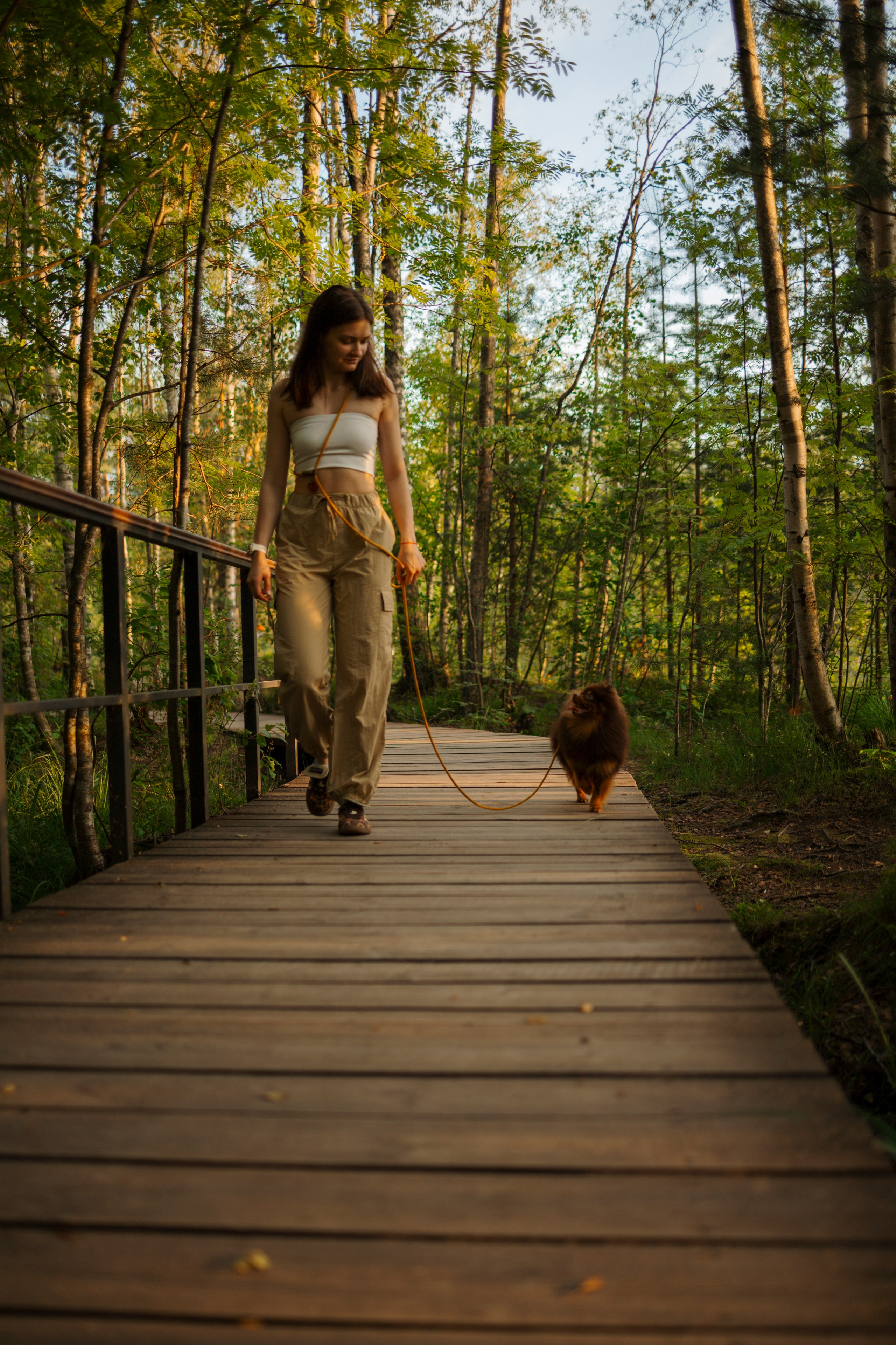 Сапфир и его семья. Фотограф-анималист в Санкт-Петеребурге Титова Алиса