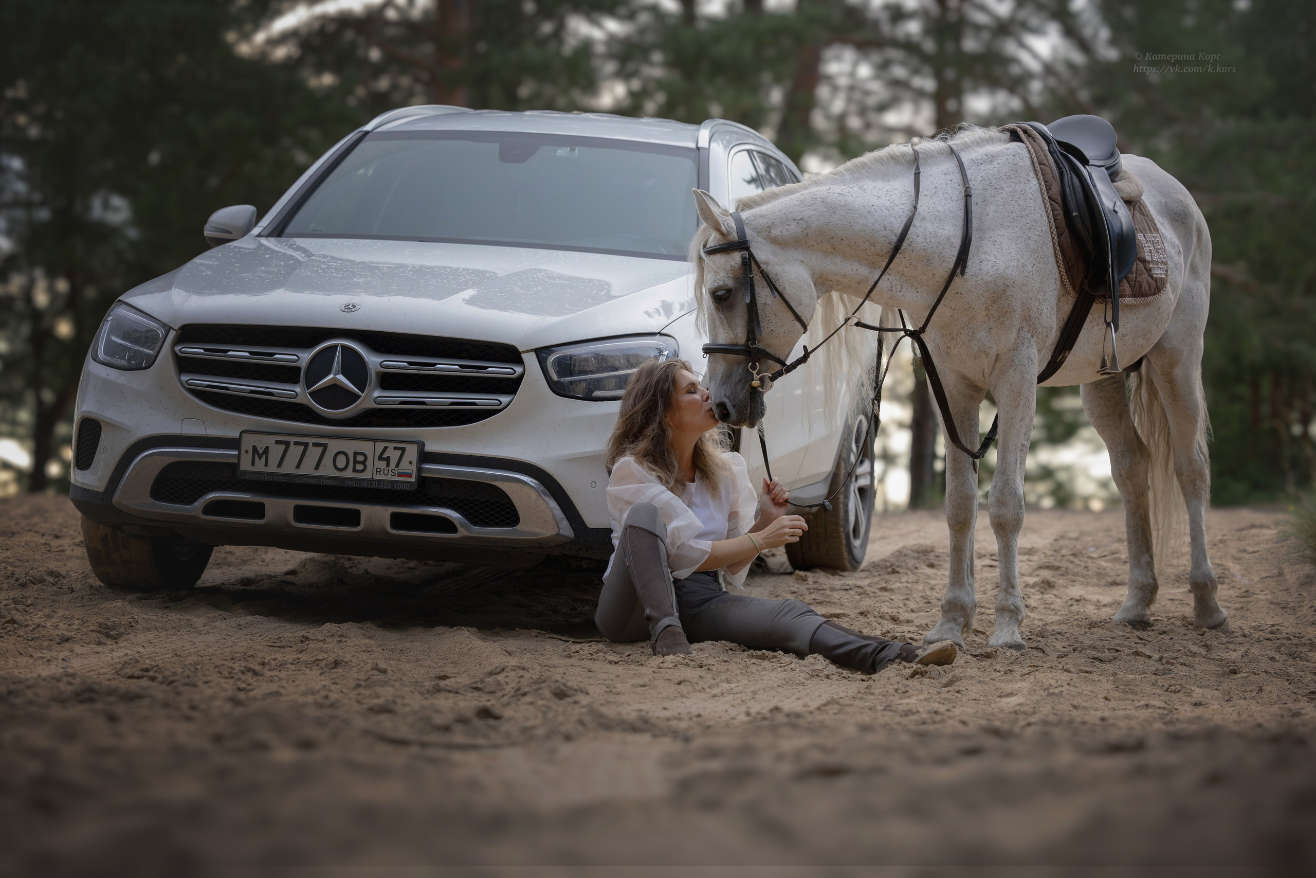 Лошади и люди. Главная