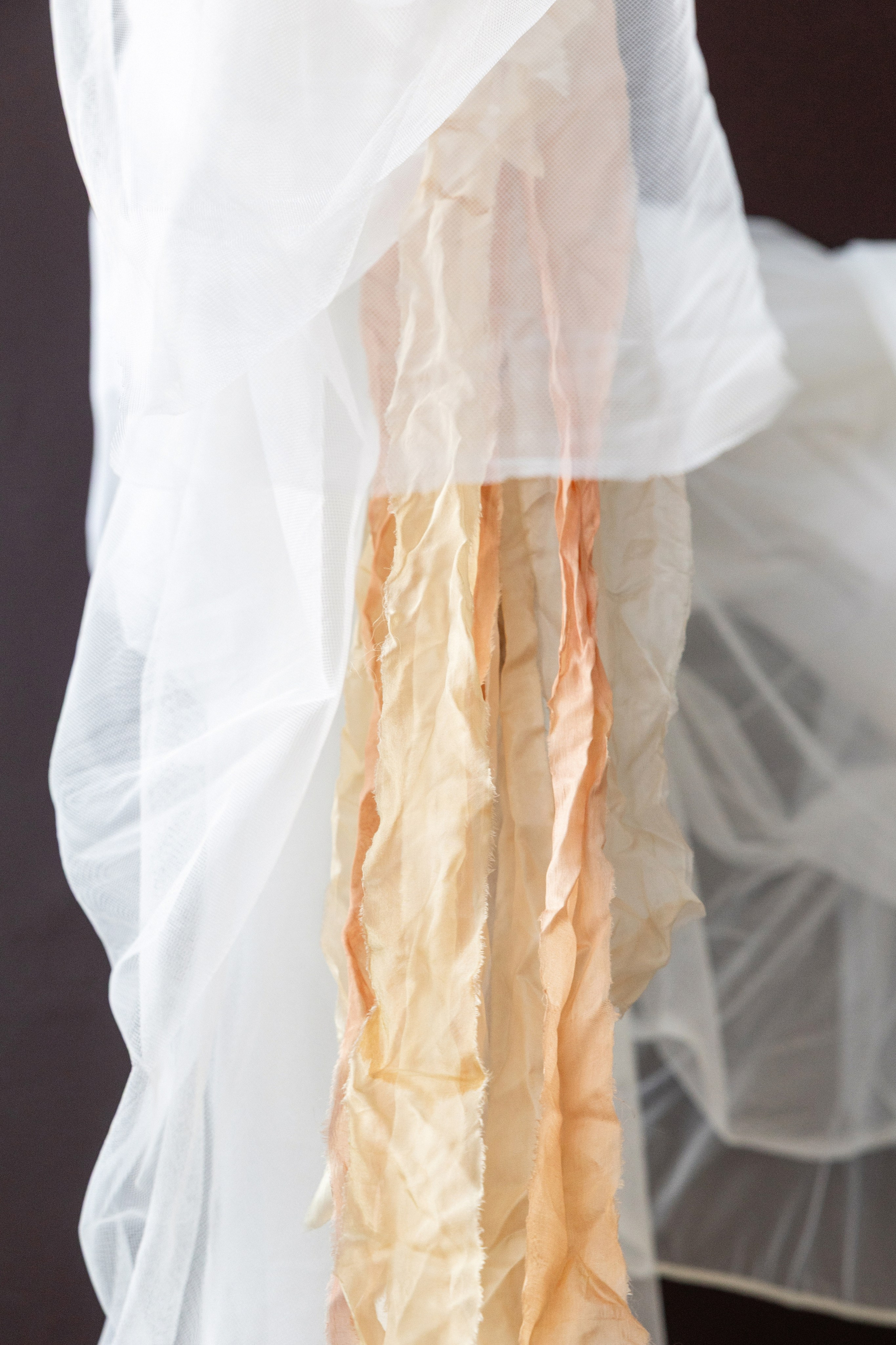 Фотостудия Питер в Сургуте для семейных и индивидуальных фотосессий