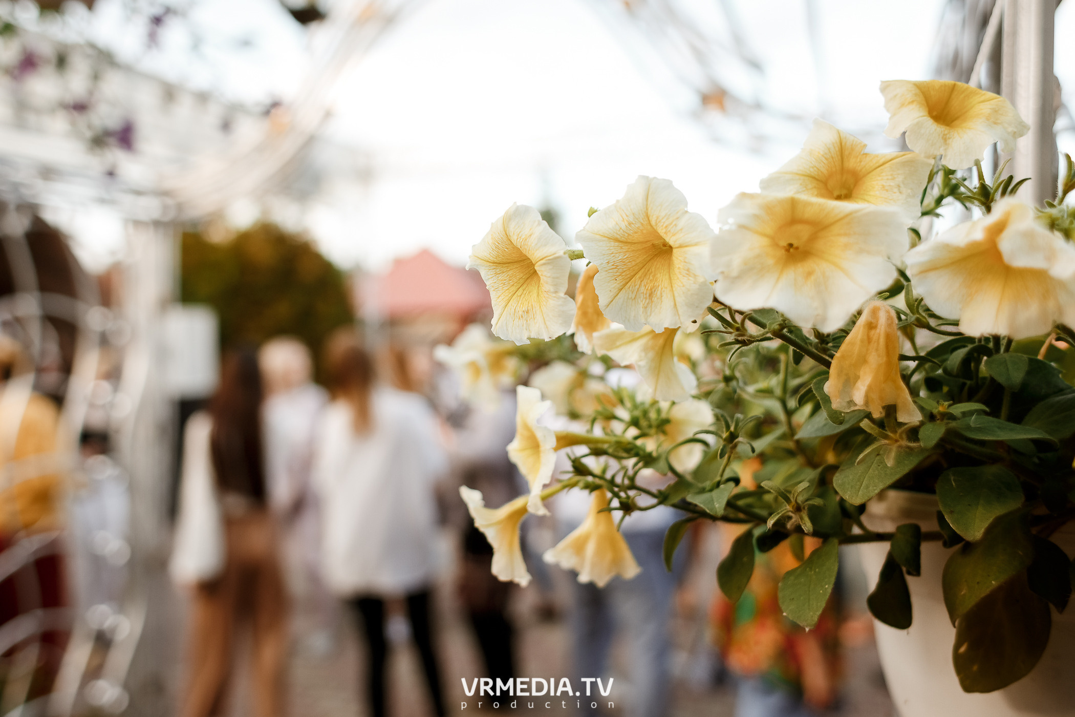 День медика в ресторане «Лазурный Берег»