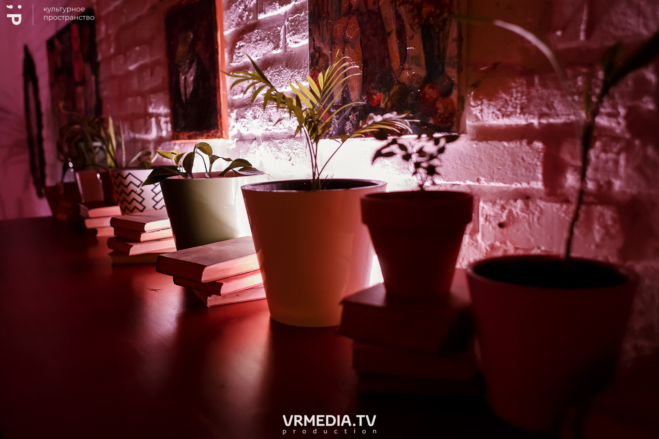 #Редакция_Лето: На минималках в культурном пространстве «Редакция»