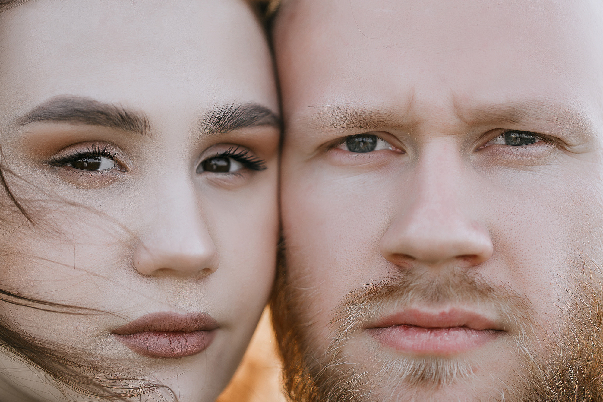 Суховское поле