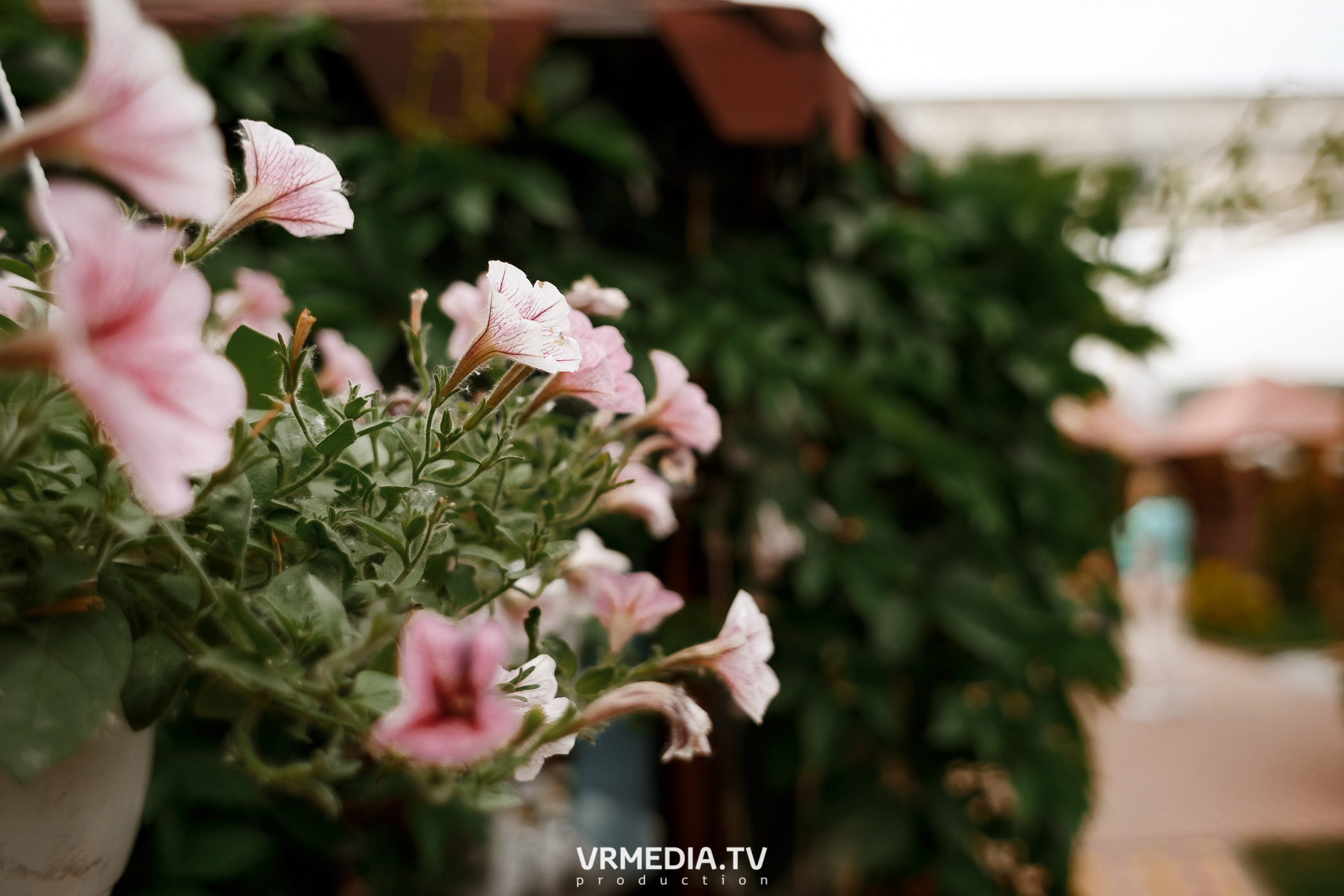 Открытие Летнего Сезона в ресторане «Лазурный берег»