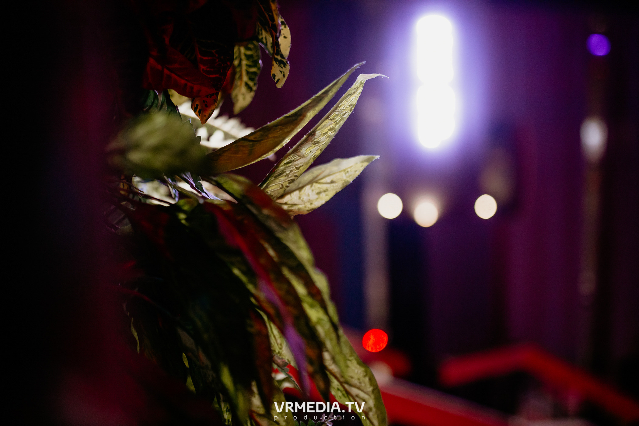 Выходные в баре «DOSKI»