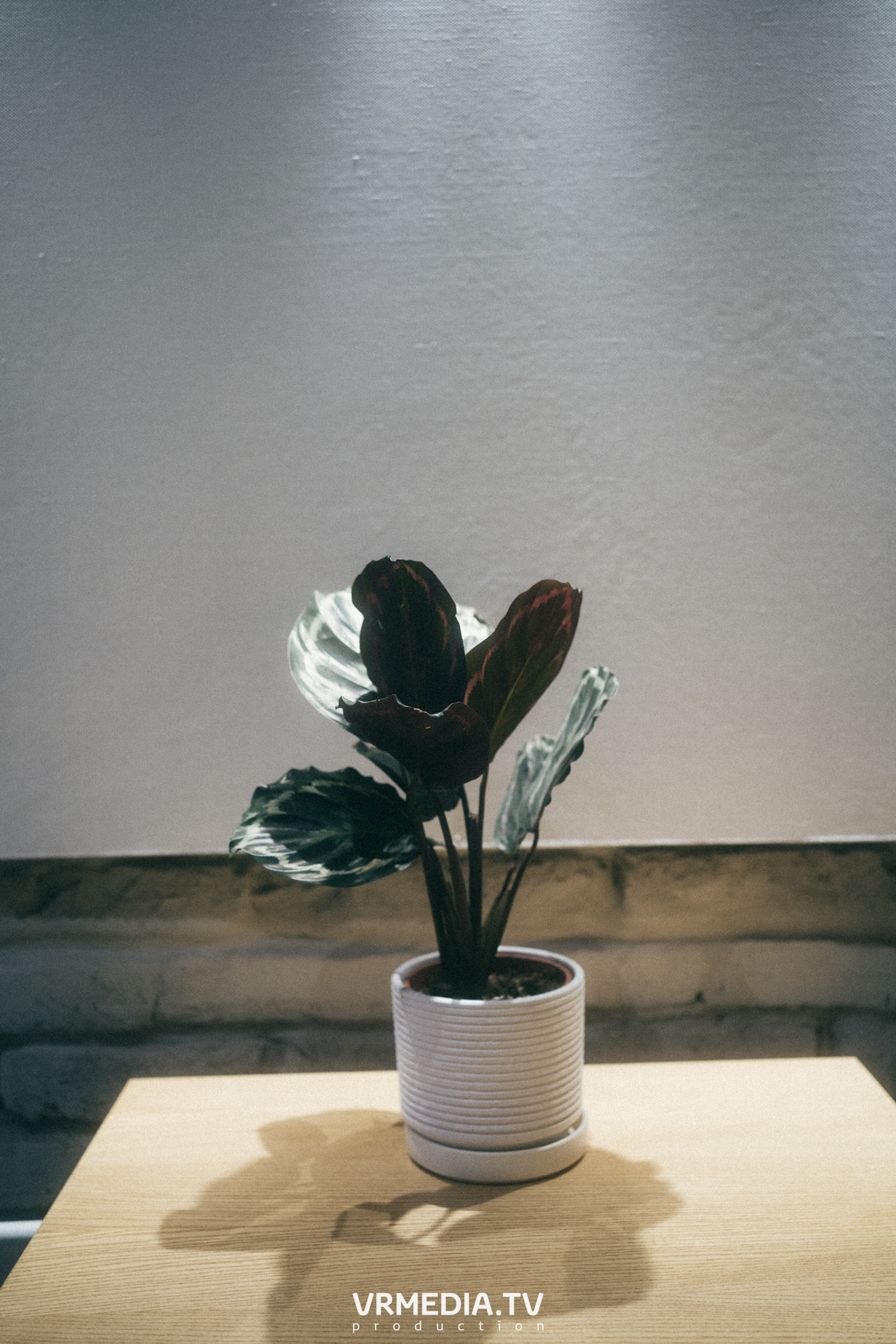 Выходные в культурном пространстве «Редакция»