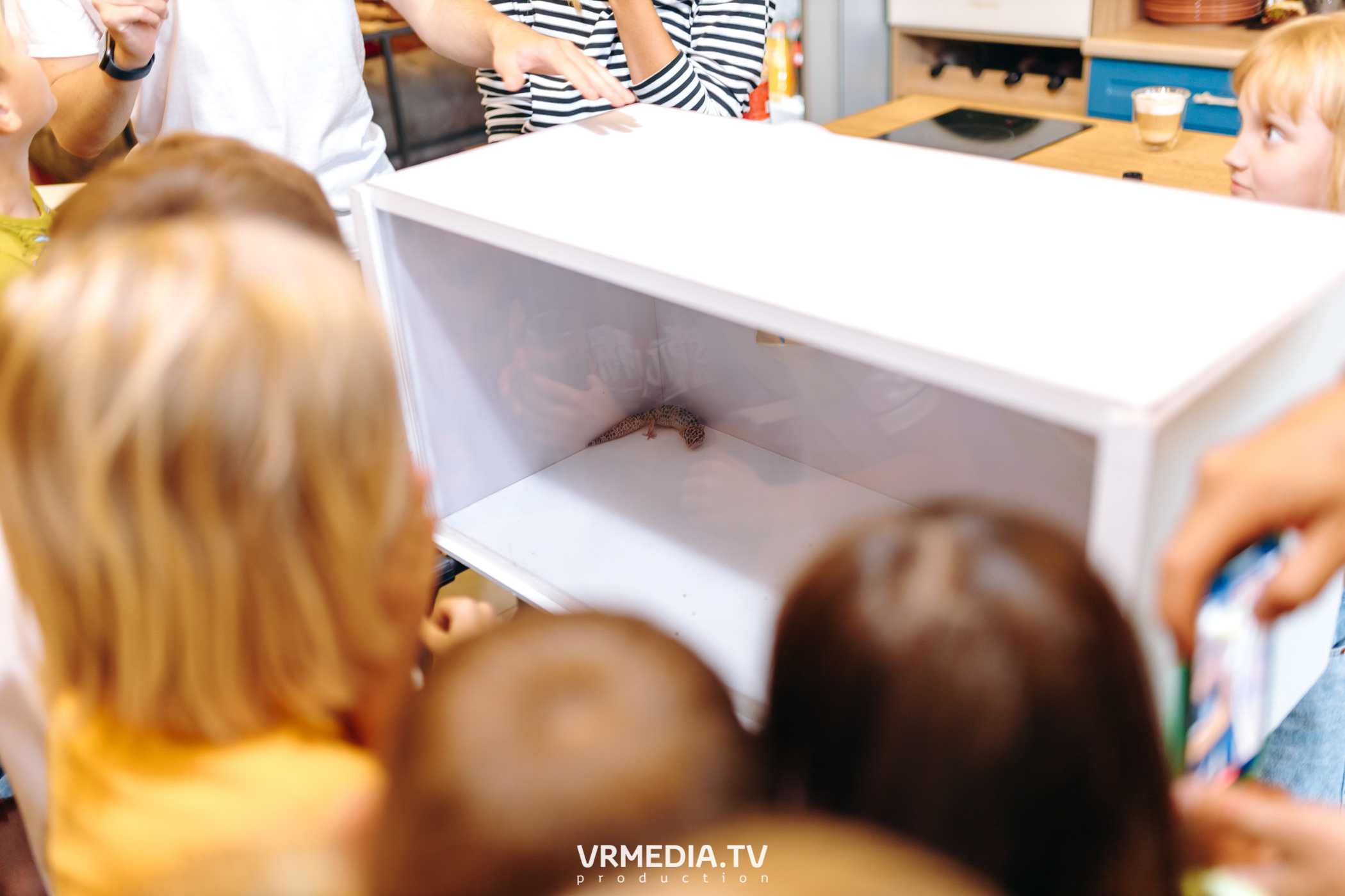 День рождения Артура Калайджяна в кулинарной студии «Артишок»