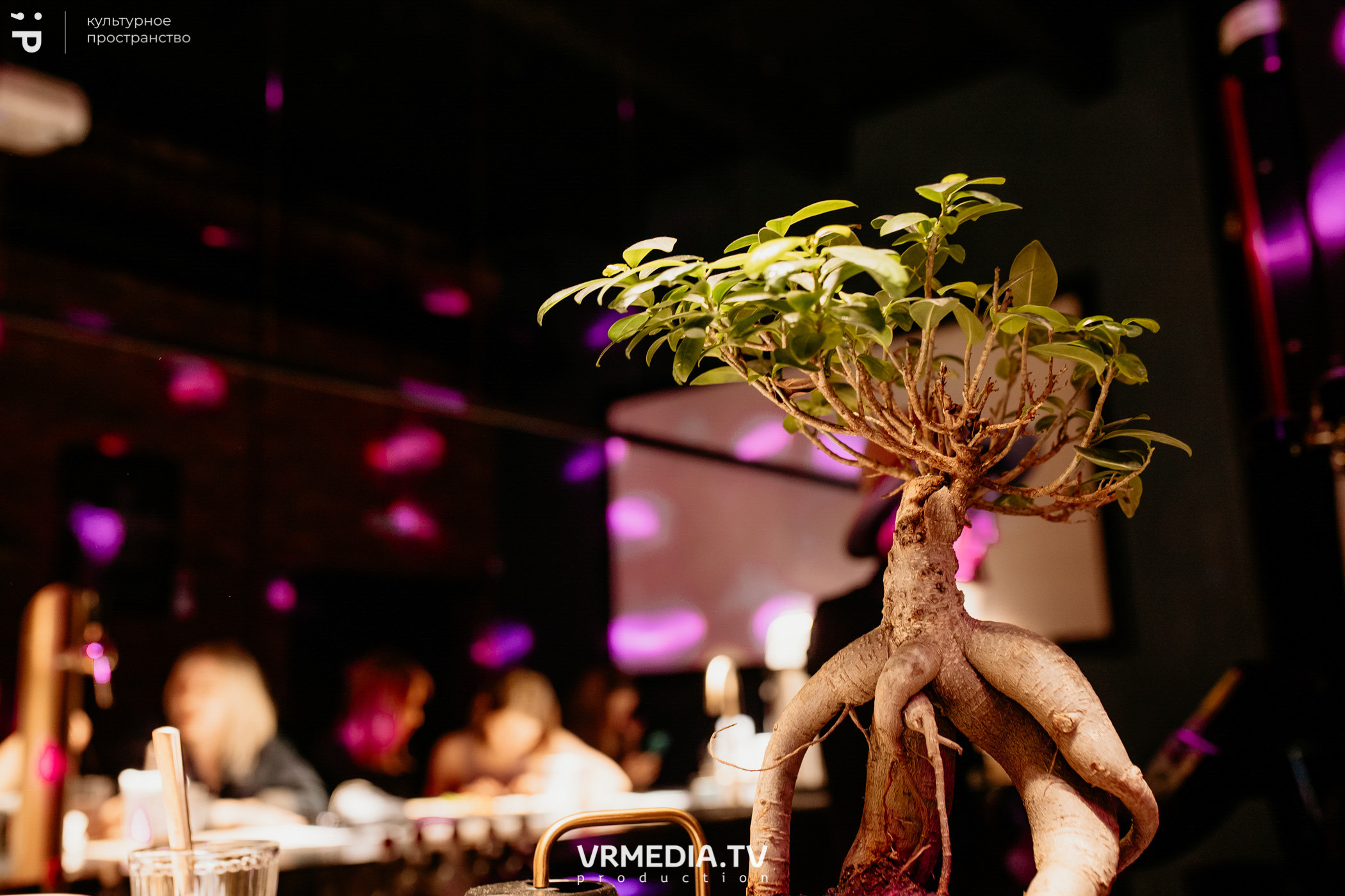 #Редакция_Лето. На низком старте!