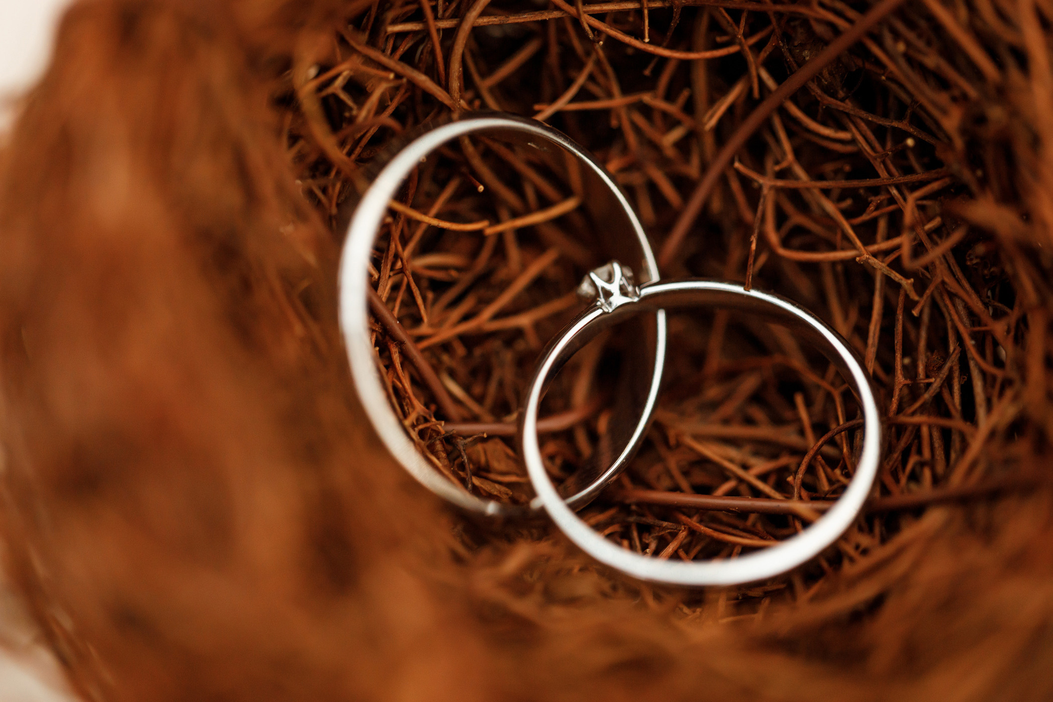 Константин & Ольга