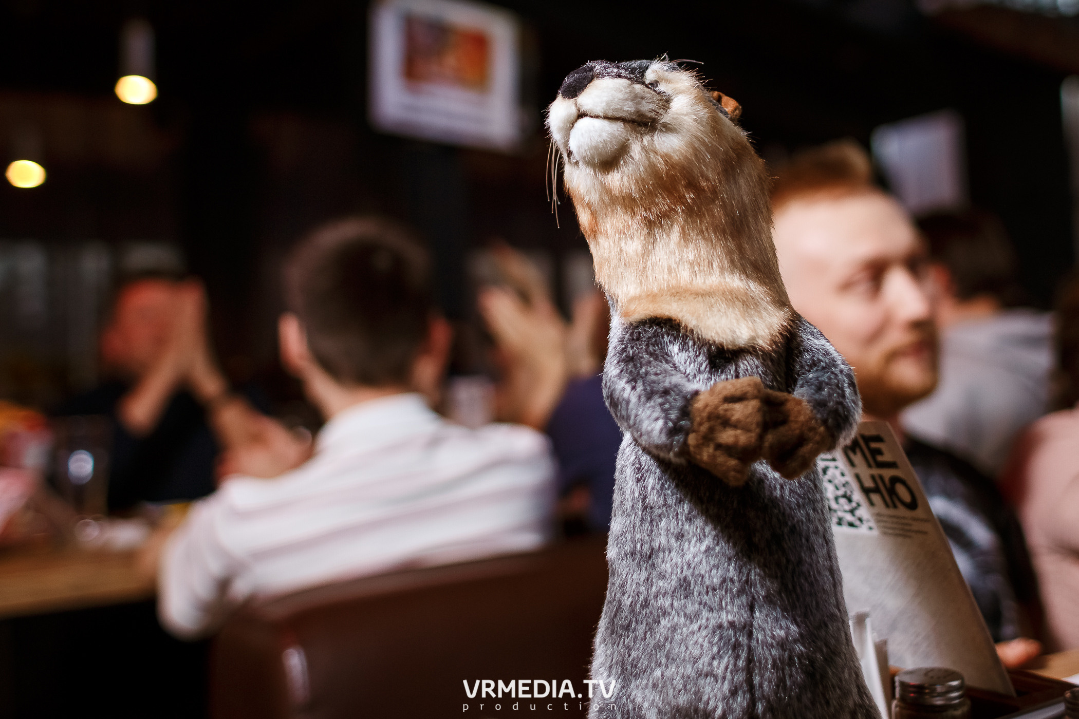 WOW QUIZ в баре «DOSKI»