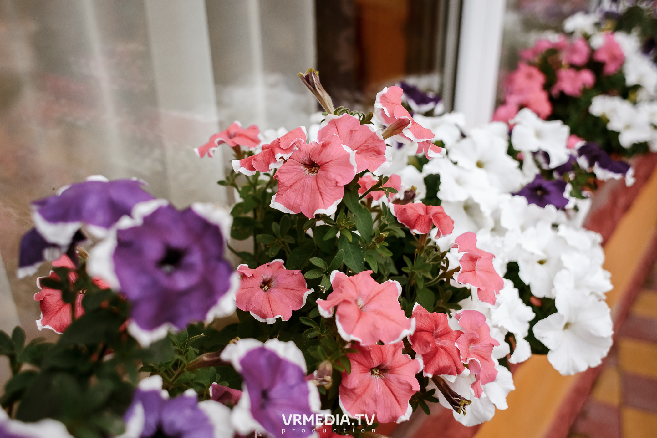 Выходные в ресторане «Лазурный берег»