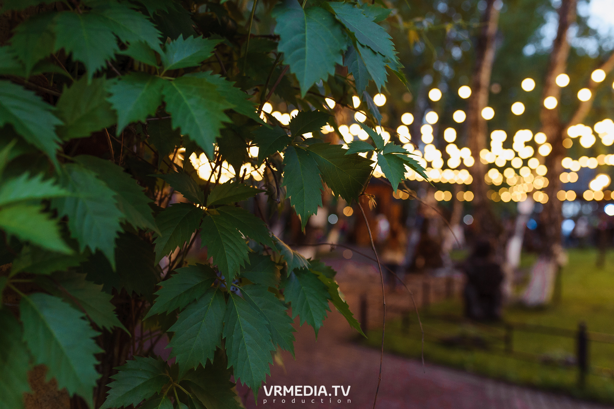 В гостях «У Петровича»