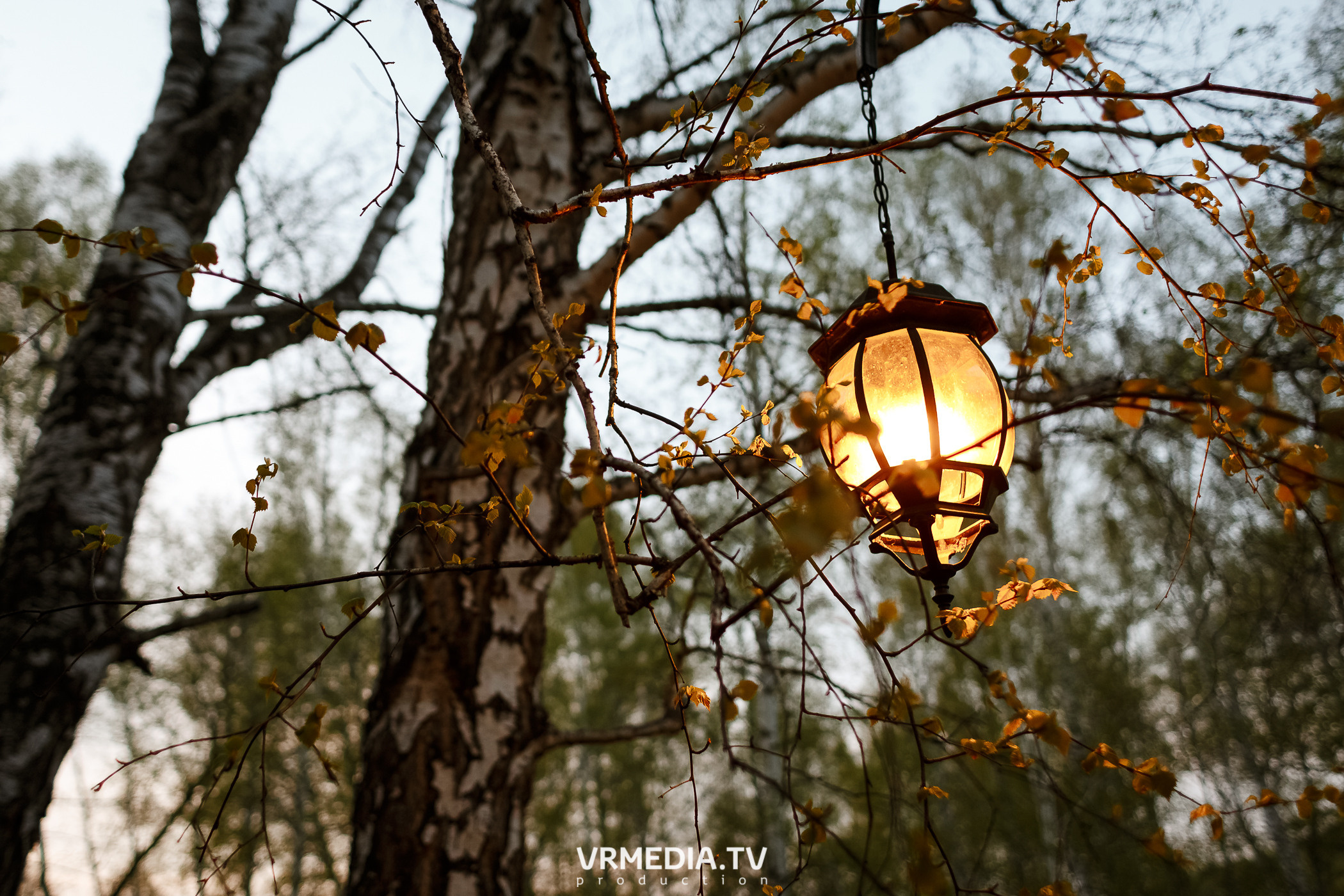 В гостях «У Петровича»