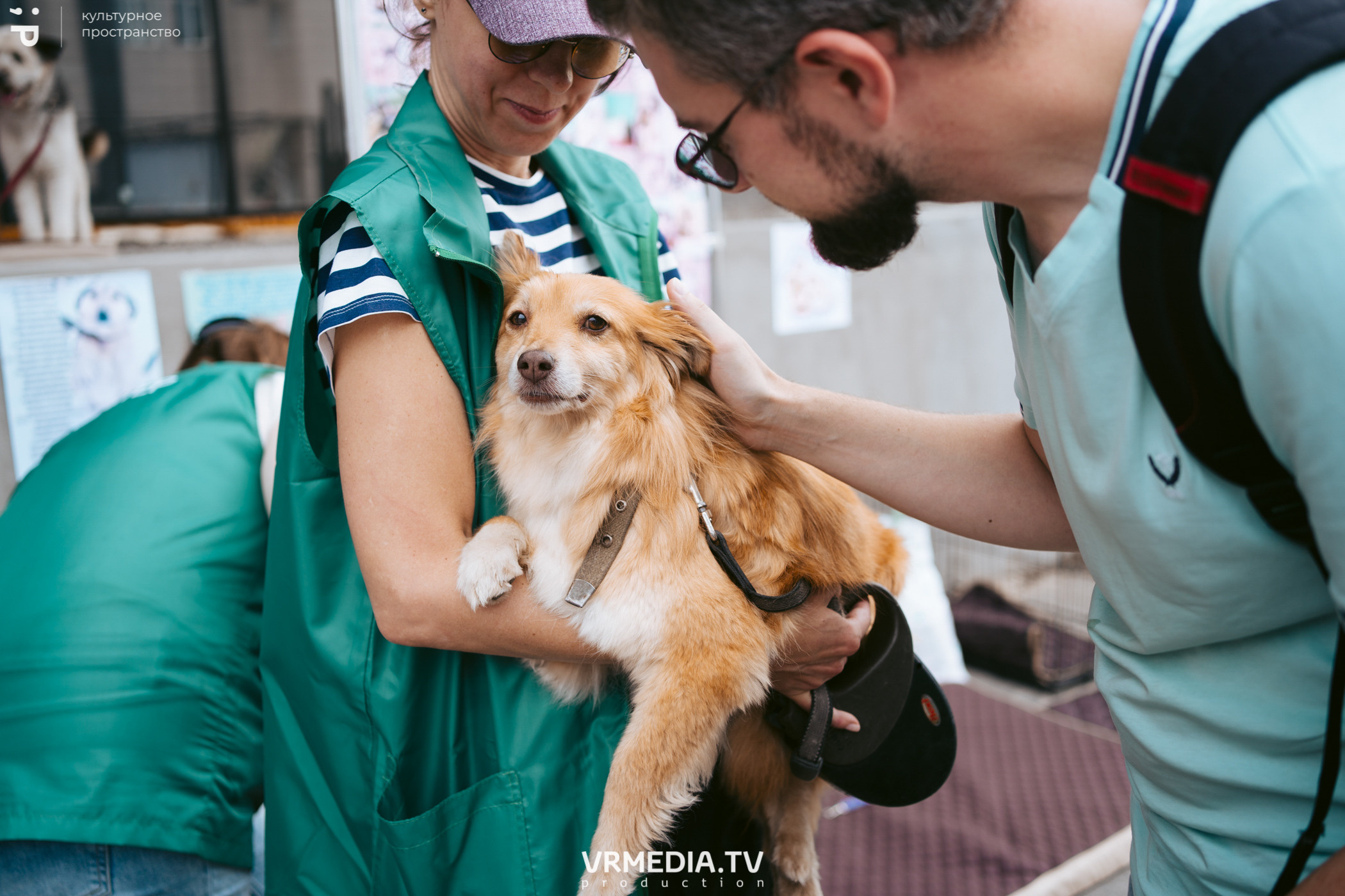 Летний базар и garage sale в культурном пространстве «Редакция»