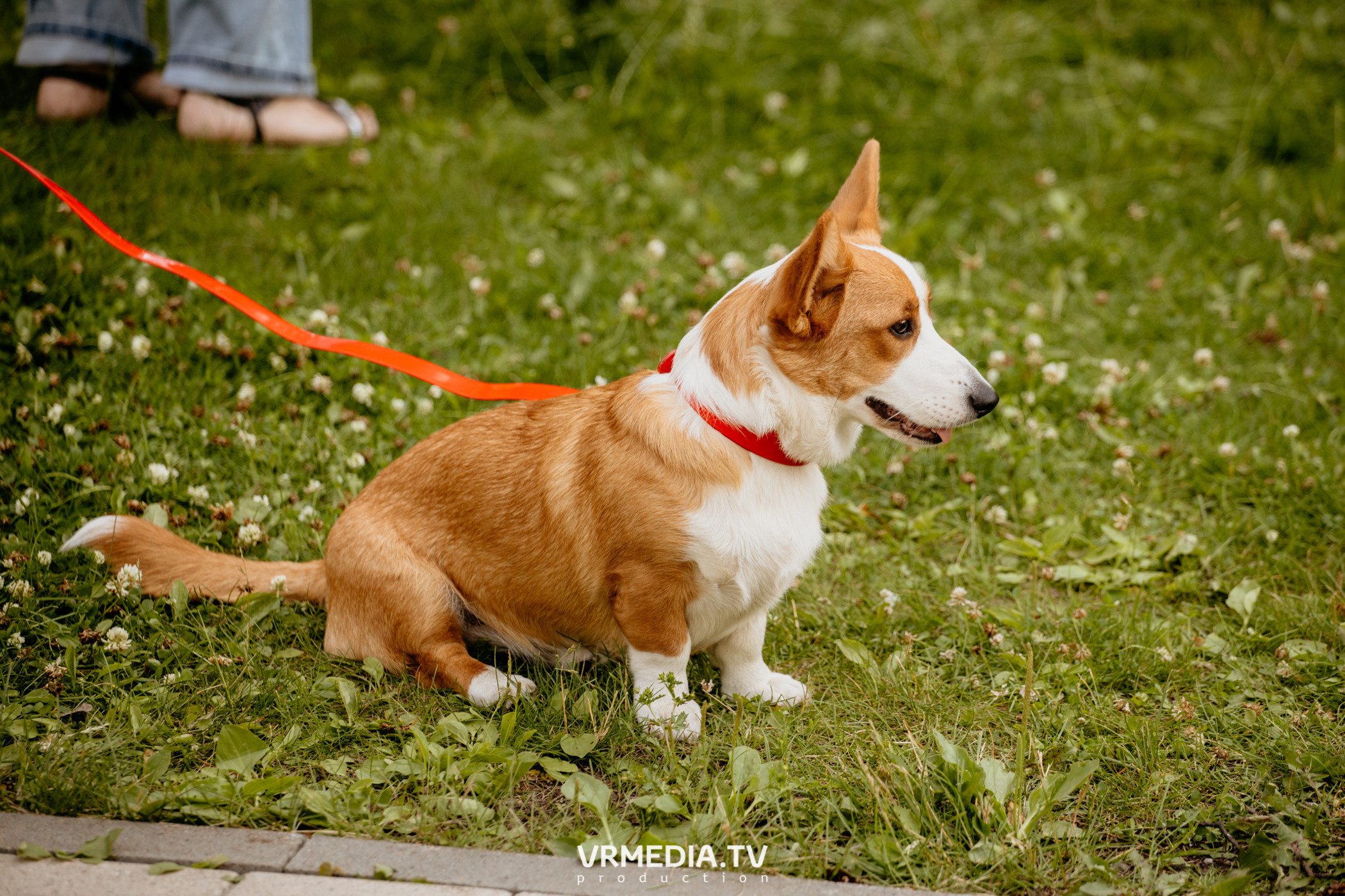 Семейный фестиваль «Родная Нить»