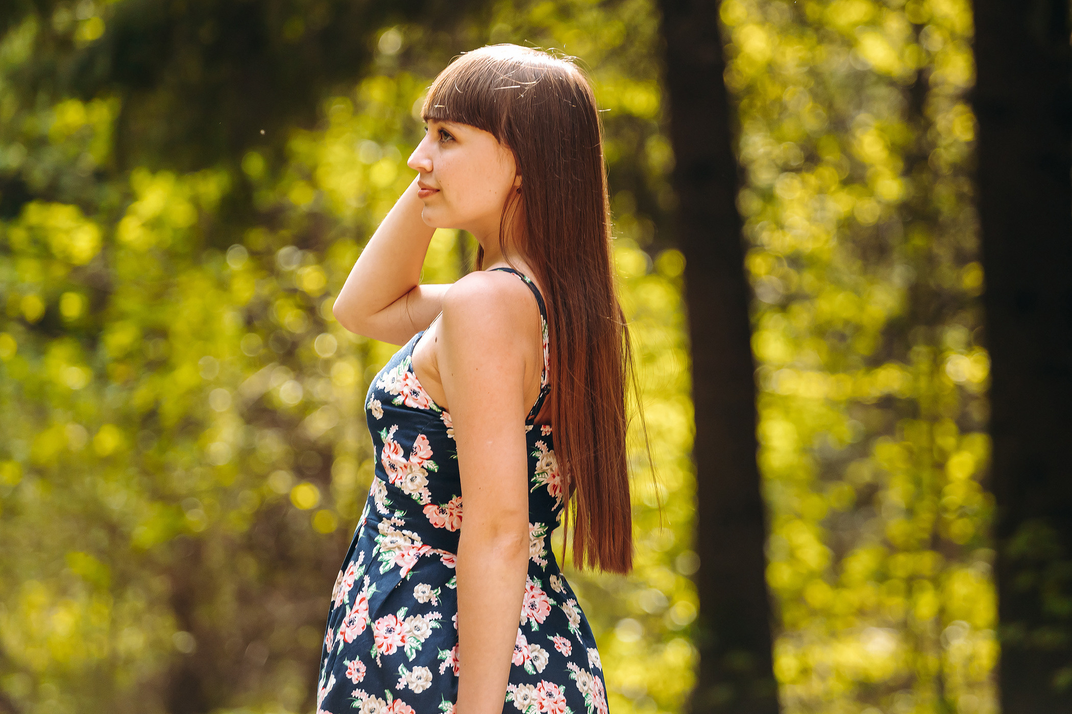 Рудничный бор