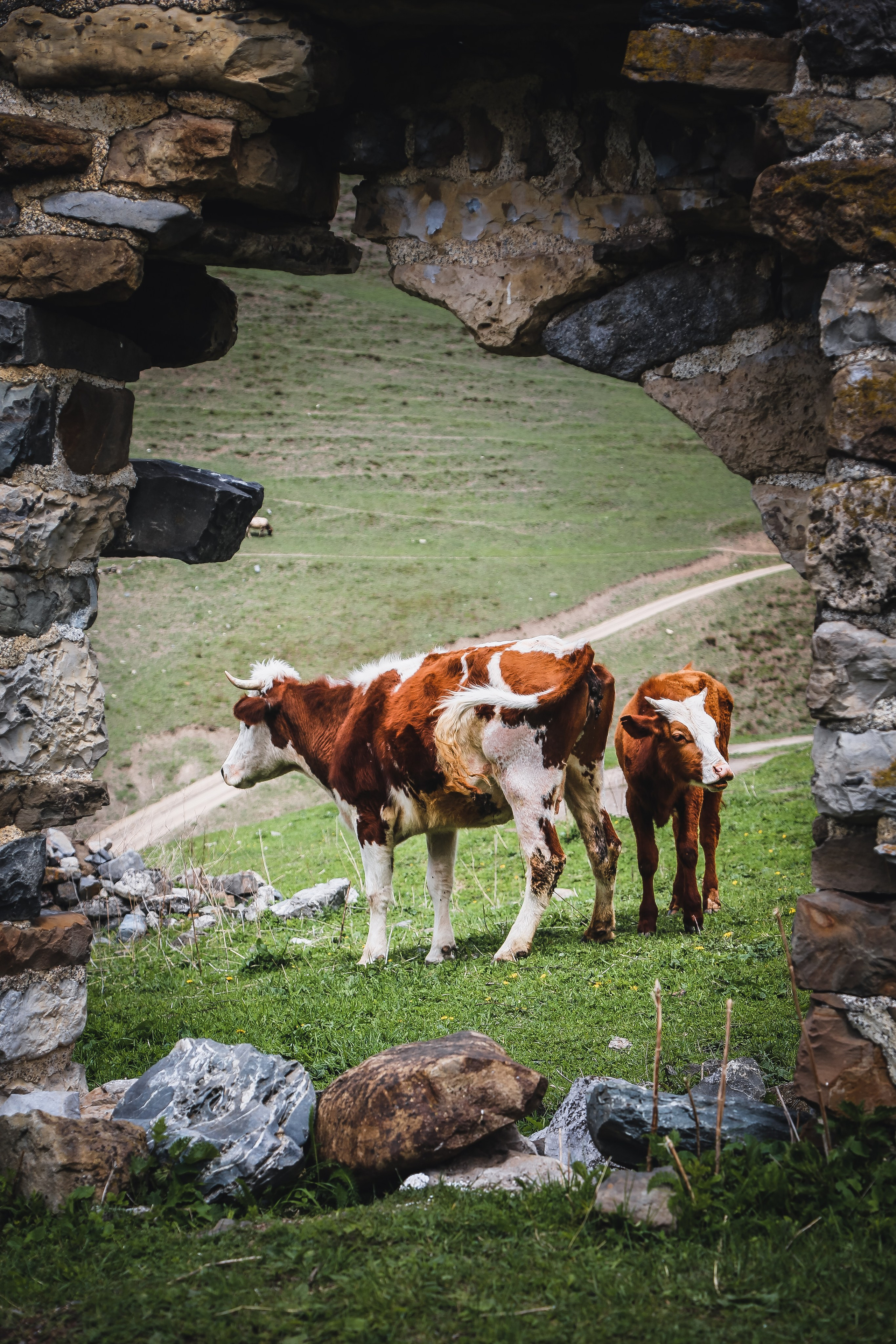 Кавказ: Ингушетия — страна башен. Дарья Письменюк / Darya Leitstern — фотограф, музыкант, журналист, путешественник