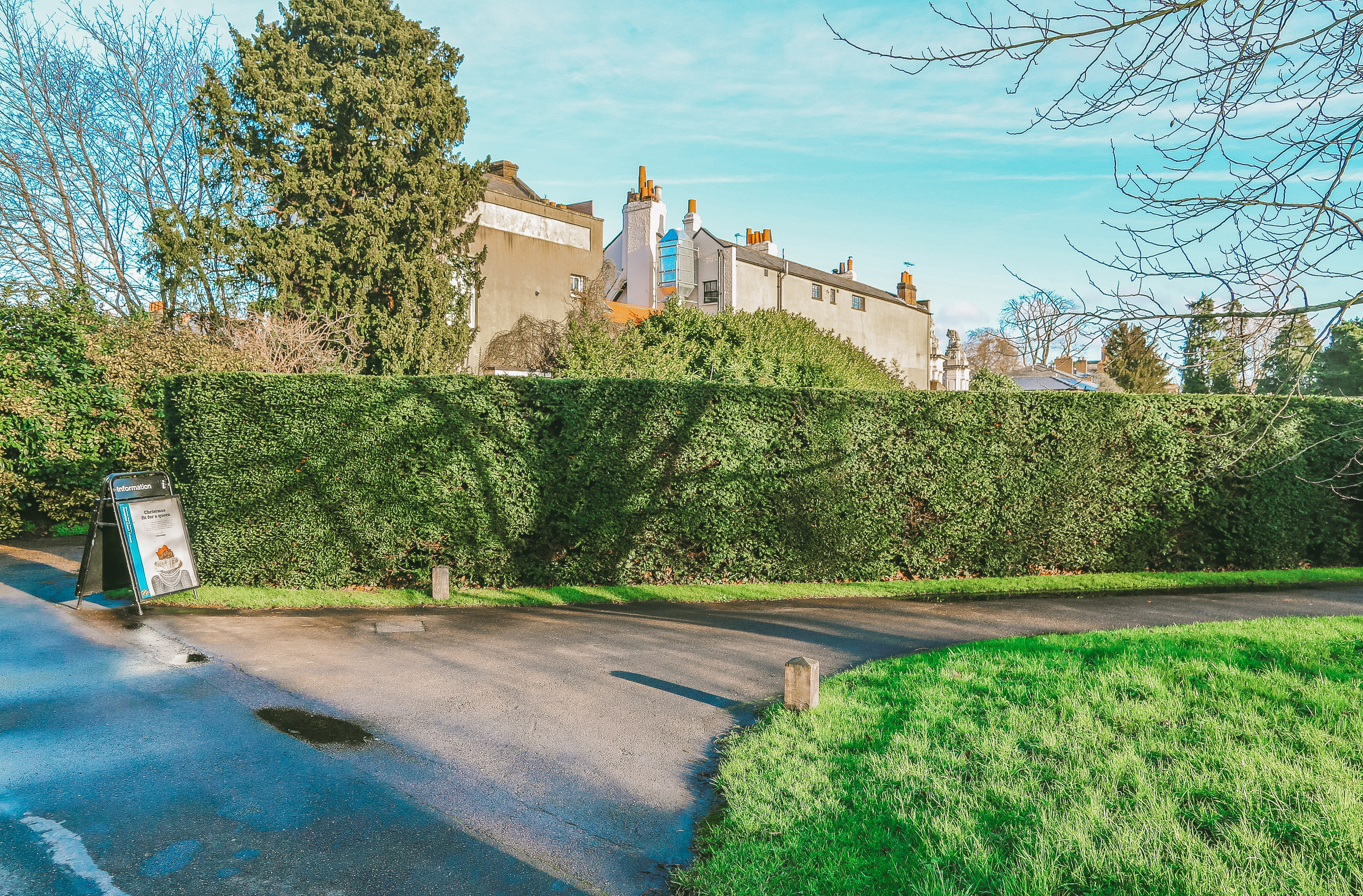 Англия: Лондон цветущий. Дарья Письменюк / Darya Leitstern — фотограф, музыкант, журналист, путешественник