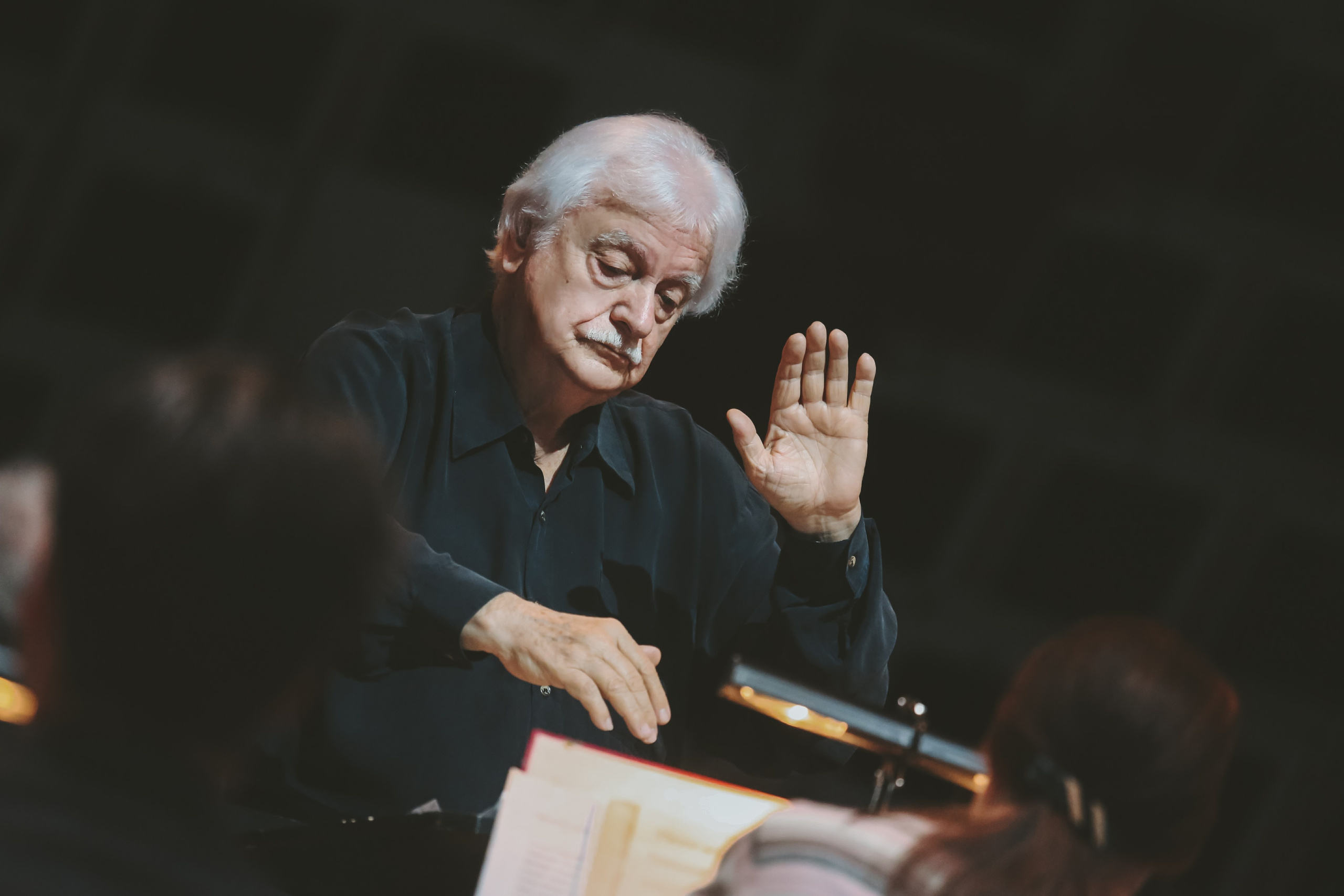 «Средь шумного бала» — литературный концерт Осиповского оркестра. Дарья Письменюк / Darya Leitstern — фотограф, музыкант, журналист, путешественник