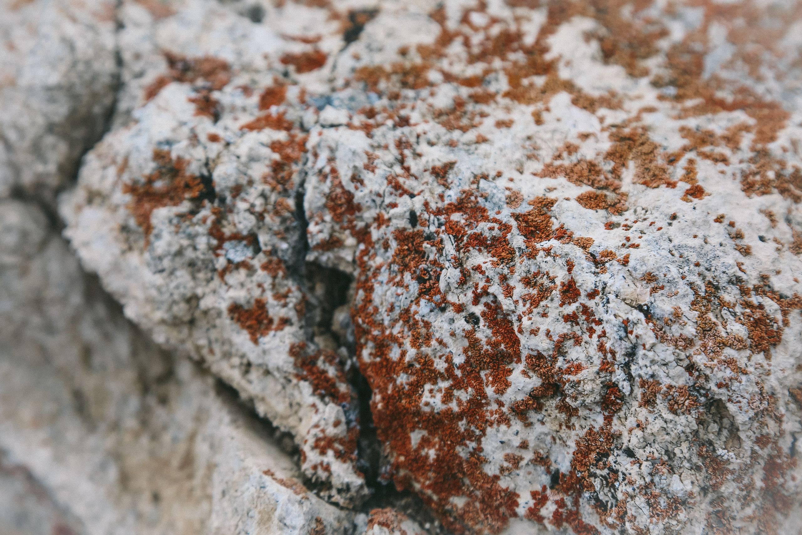 Байкал летний: легенды и святыни. Дарья Письменюк / Darya Leitstern — фотограф, музыкант, журналист, путешественник