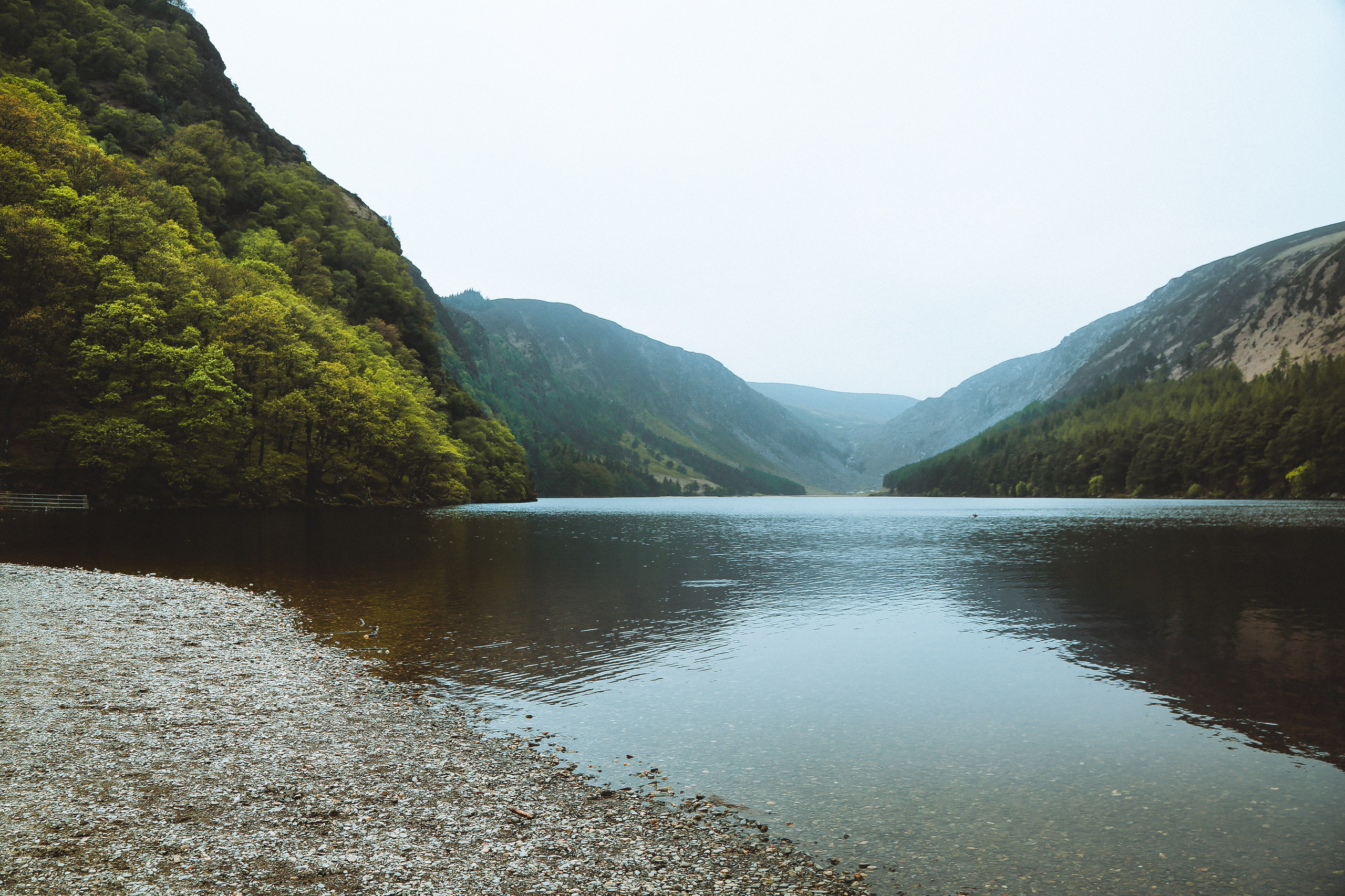 Ирландия: Горы Уиклоу. Дарья Письменюк / Darya Leitstern — фотограф, музыкант, журналист, путешественник