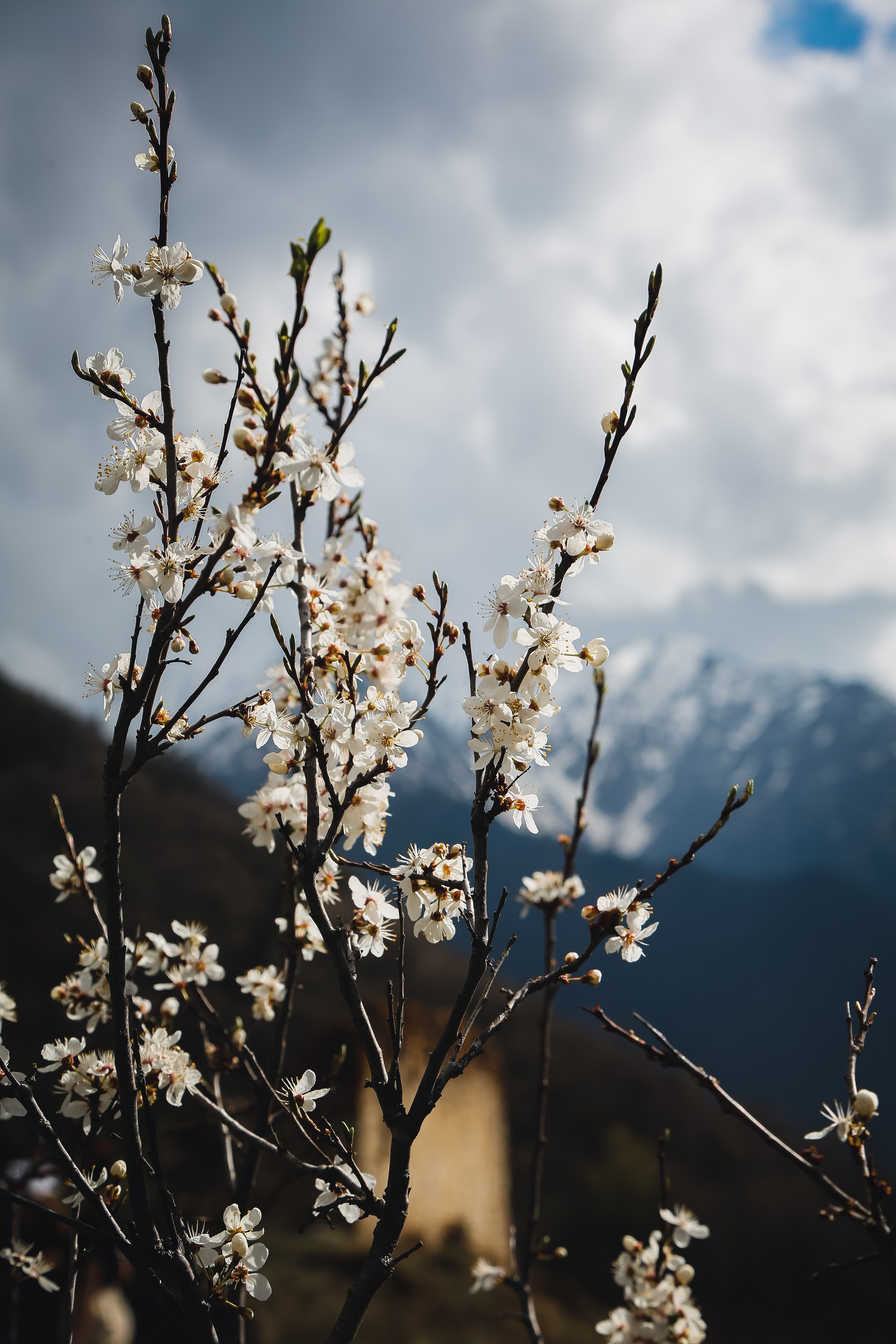 Кавказ: Ингушетия — страна башен. Дарья Письменюк / Darya Leitstern — фотограф, музыкант, журналист, путешественник