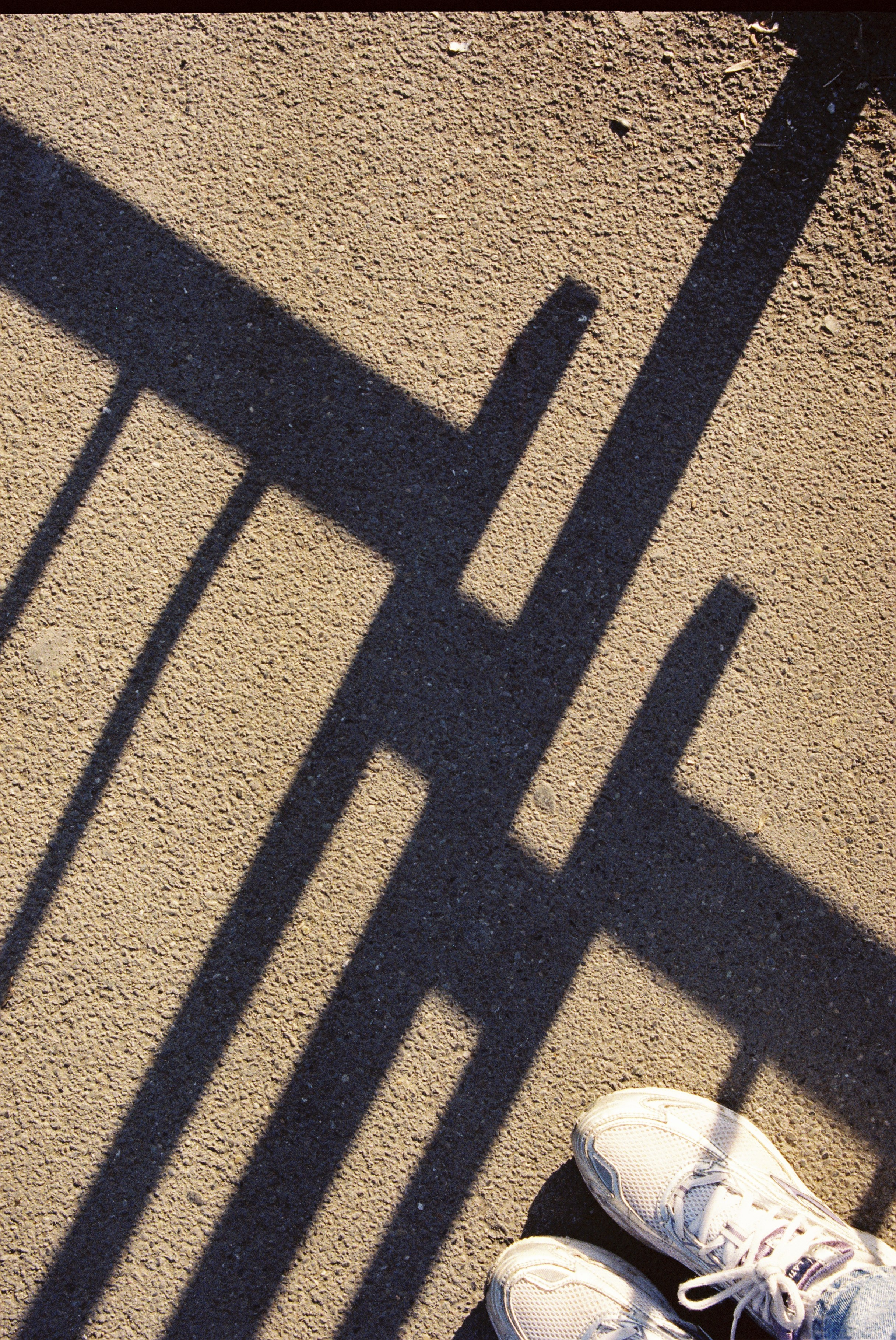 ON THE GO. Сocoobird || Атмосфера твоего бренда в снимках и видео