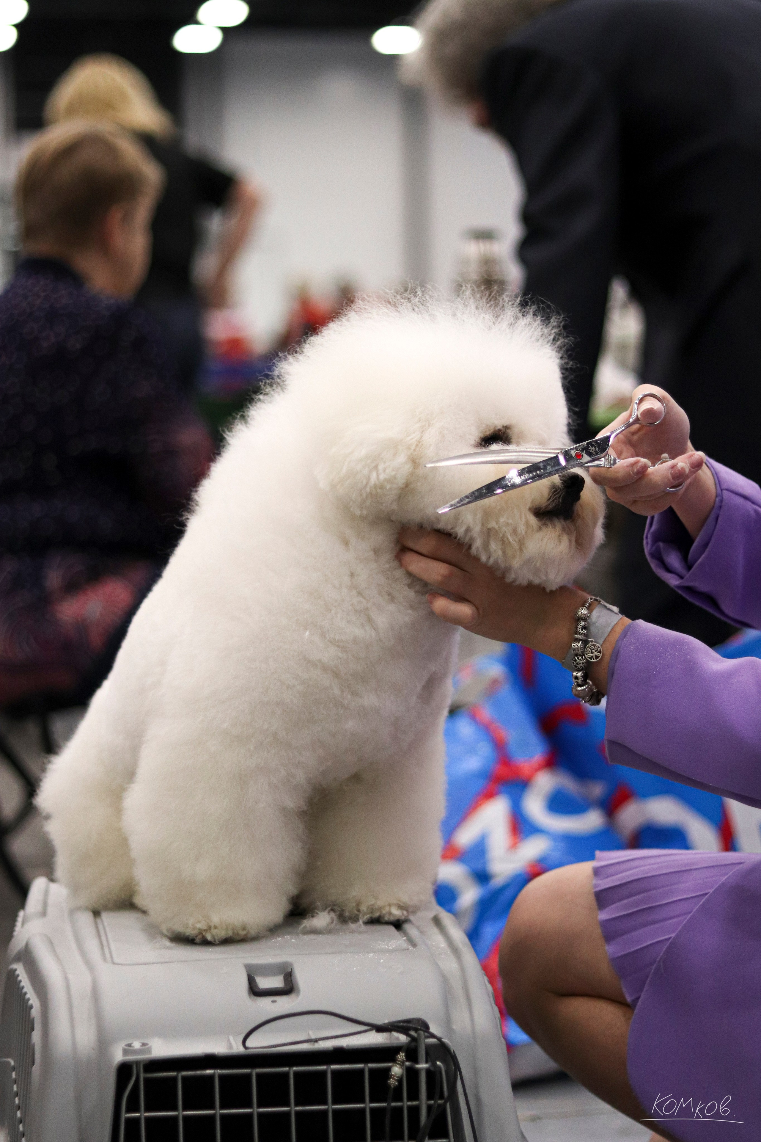 ЗооШоу. Ивентный фотограф в Санкт-Петербурге Олег Комков