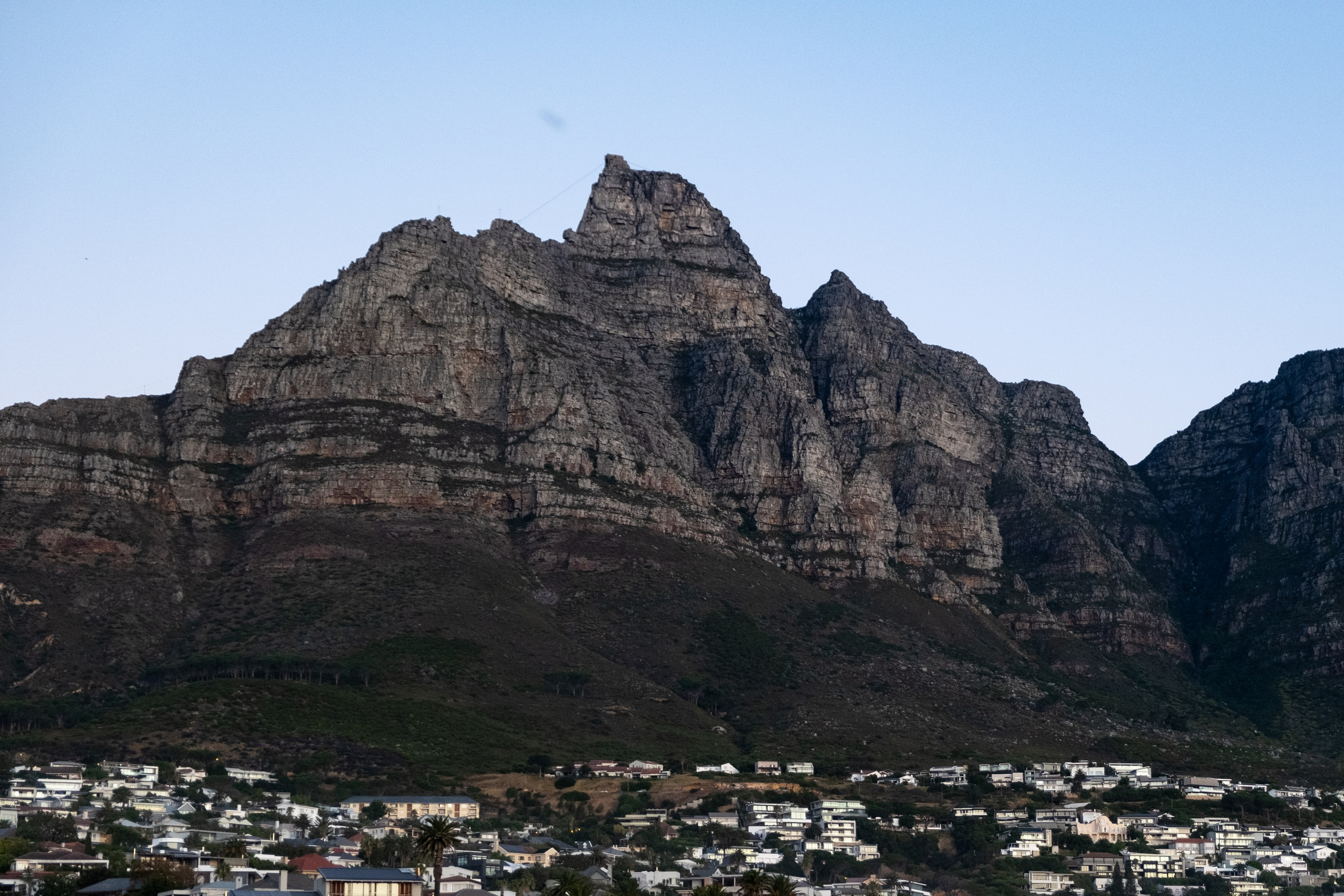 Пингвины и другие. Фотографии из путешествий