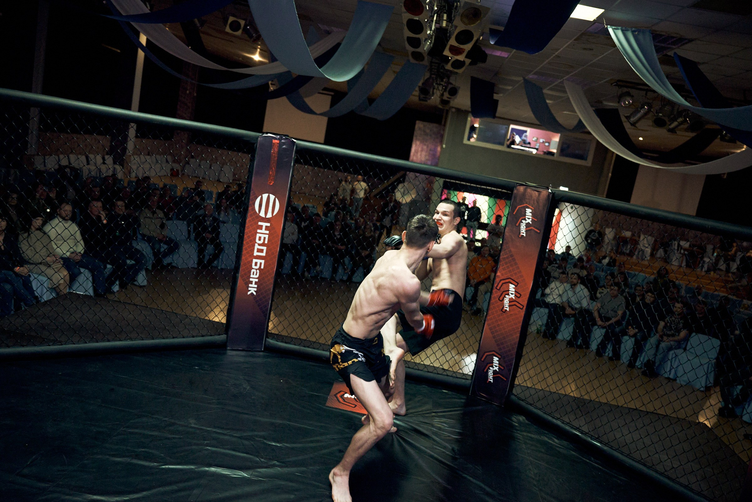 Бои. Маляревич Дмитрий свадебный фотограф