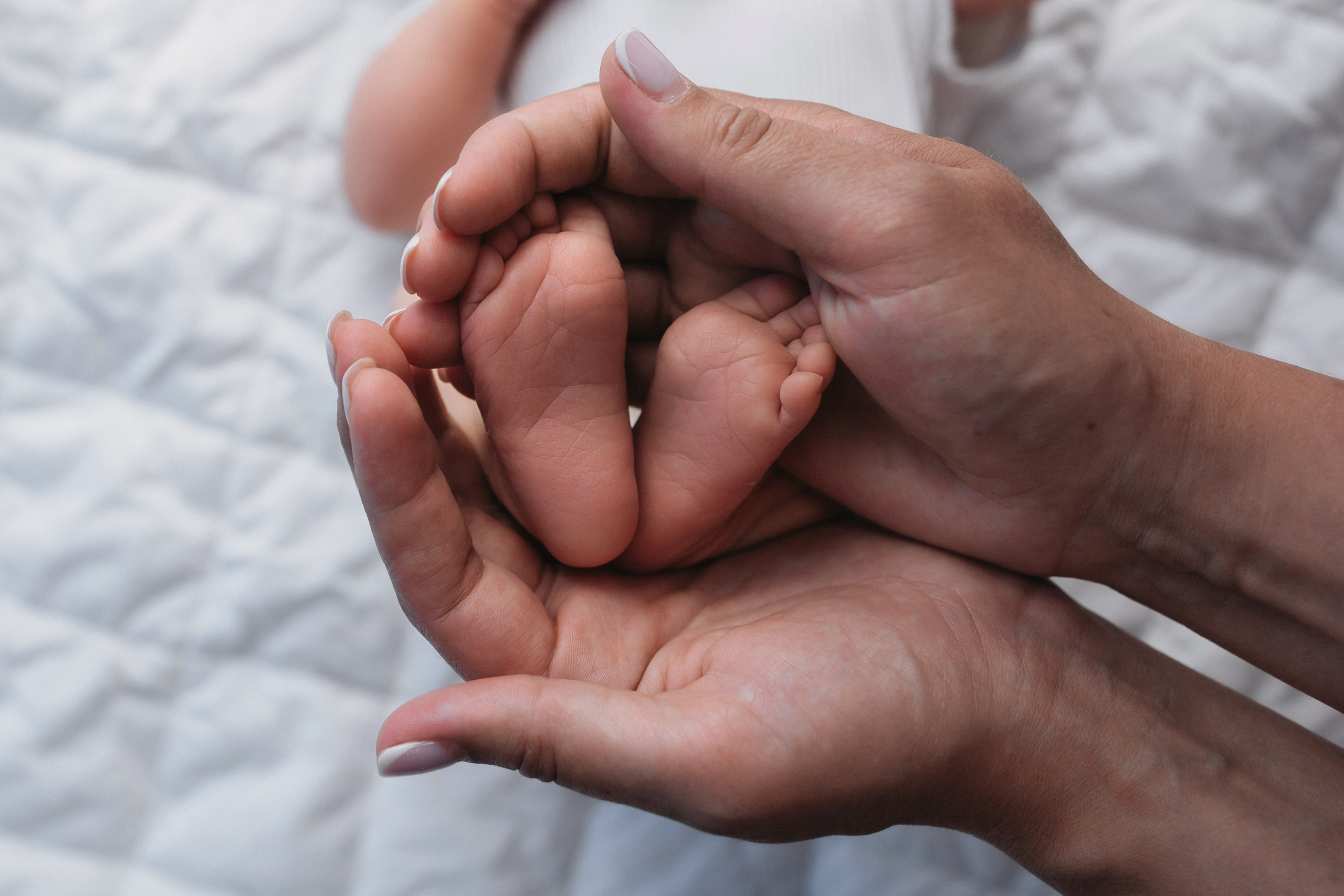 ПАКЕТ «Simple». Главная