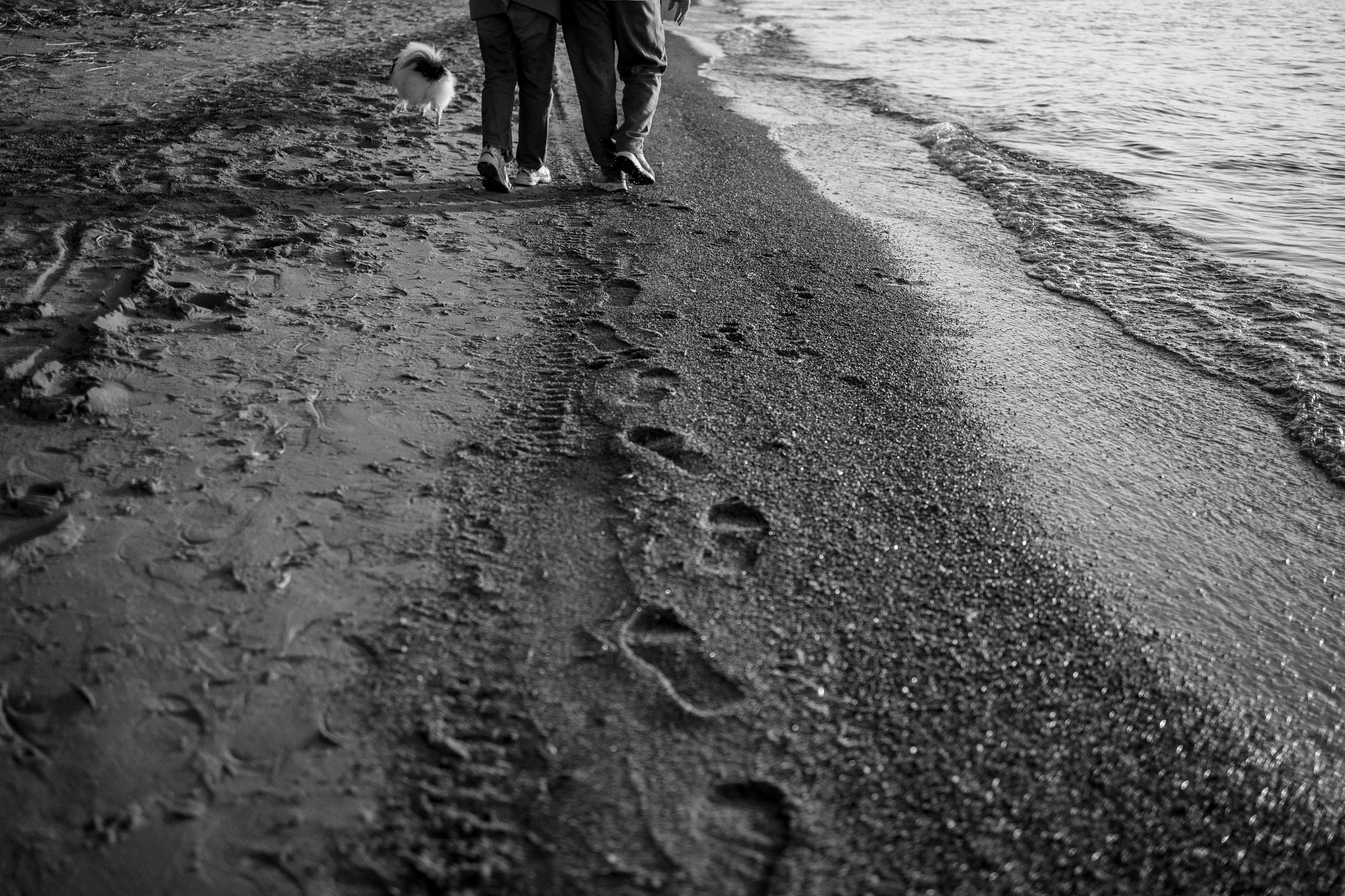 Диана и ее мальчики. Фотограф — Анималист | Санкт-Петербург