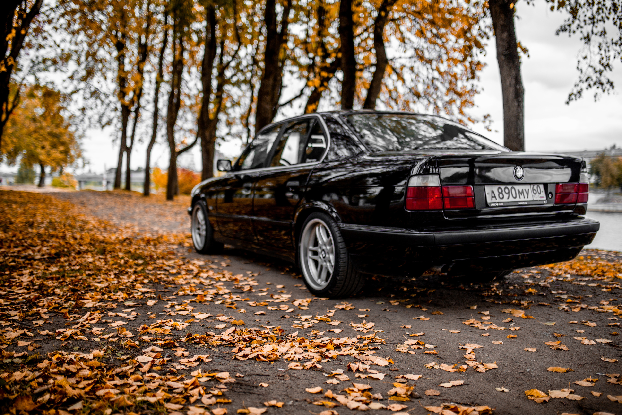 BMW 525 e34. Фотограф Вероника Галицкая