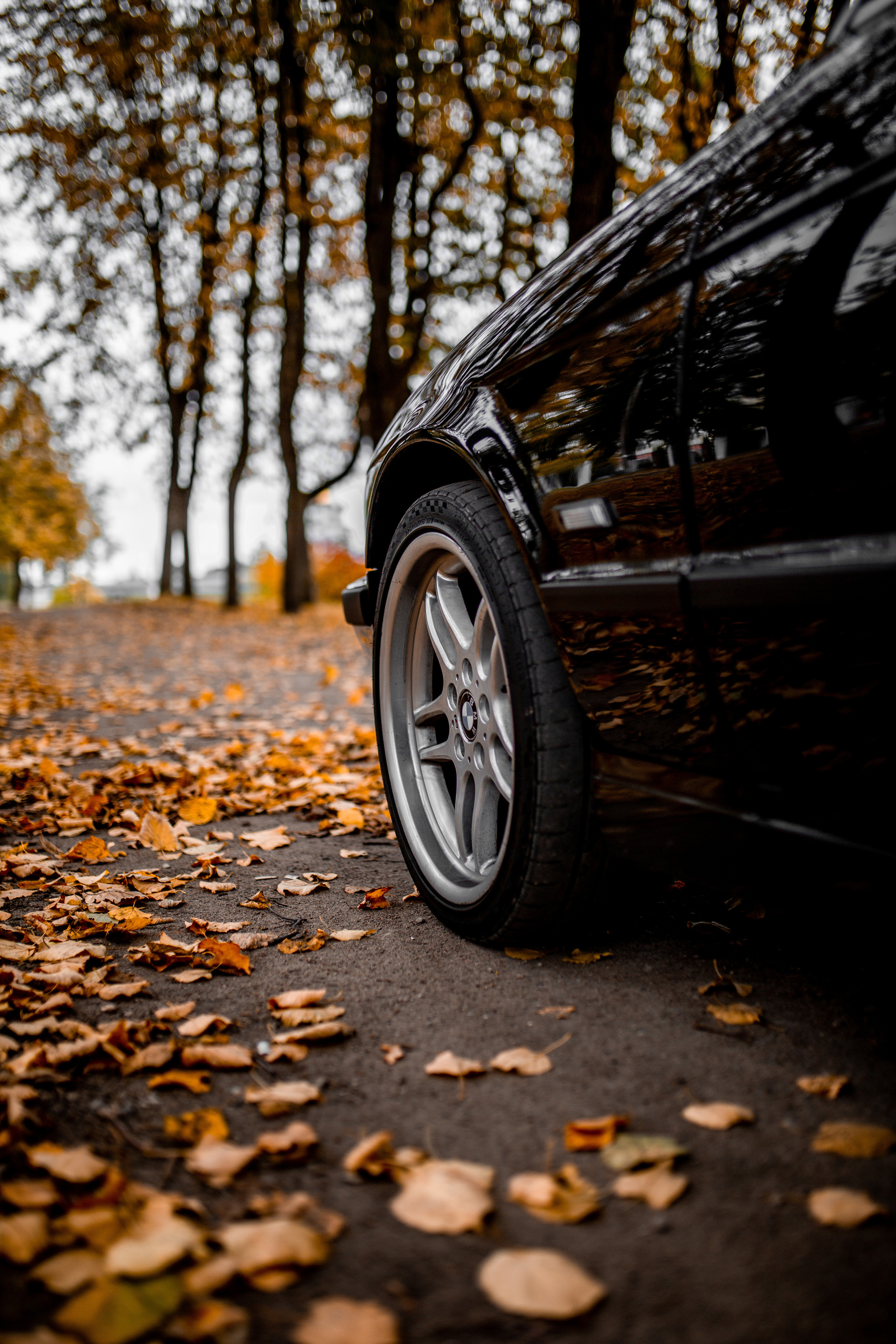 BMW 525 e34. Фотограф Вероника Галицкая