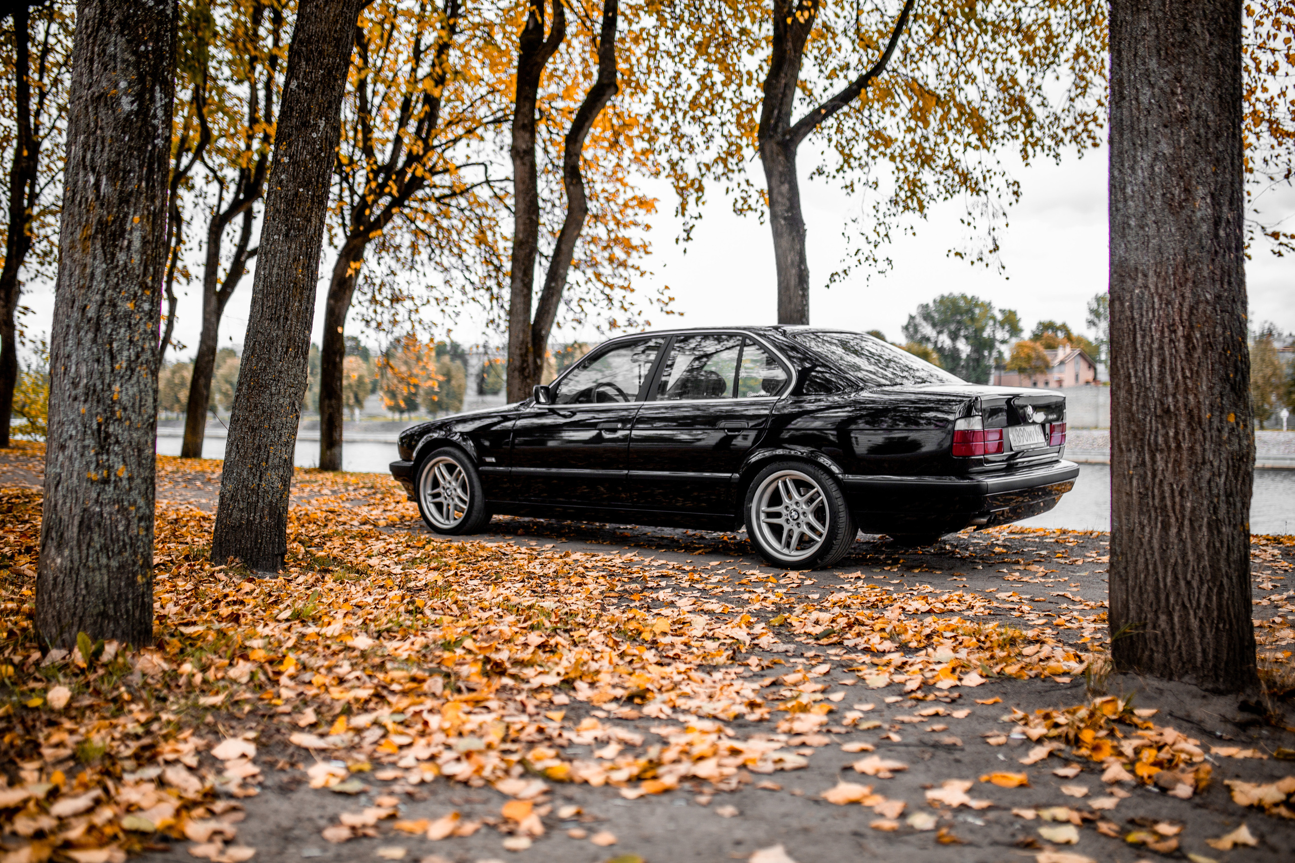 BMW 525 e34. Фотограф Вероника Галицкая