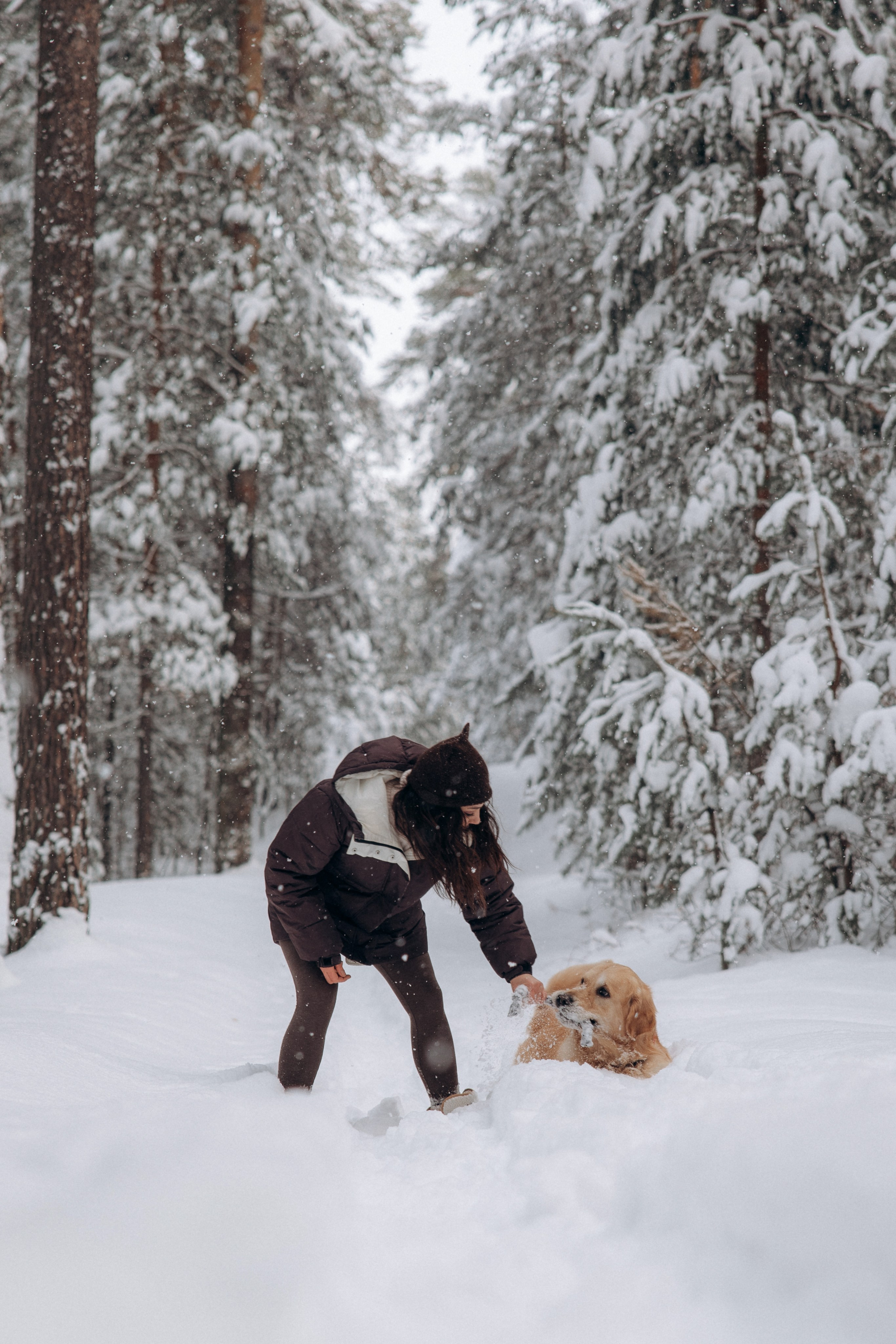 Зимняя история, Света и Чарли. Фотограф анималист в Казани Алина Сулейманова. Фотограф животных