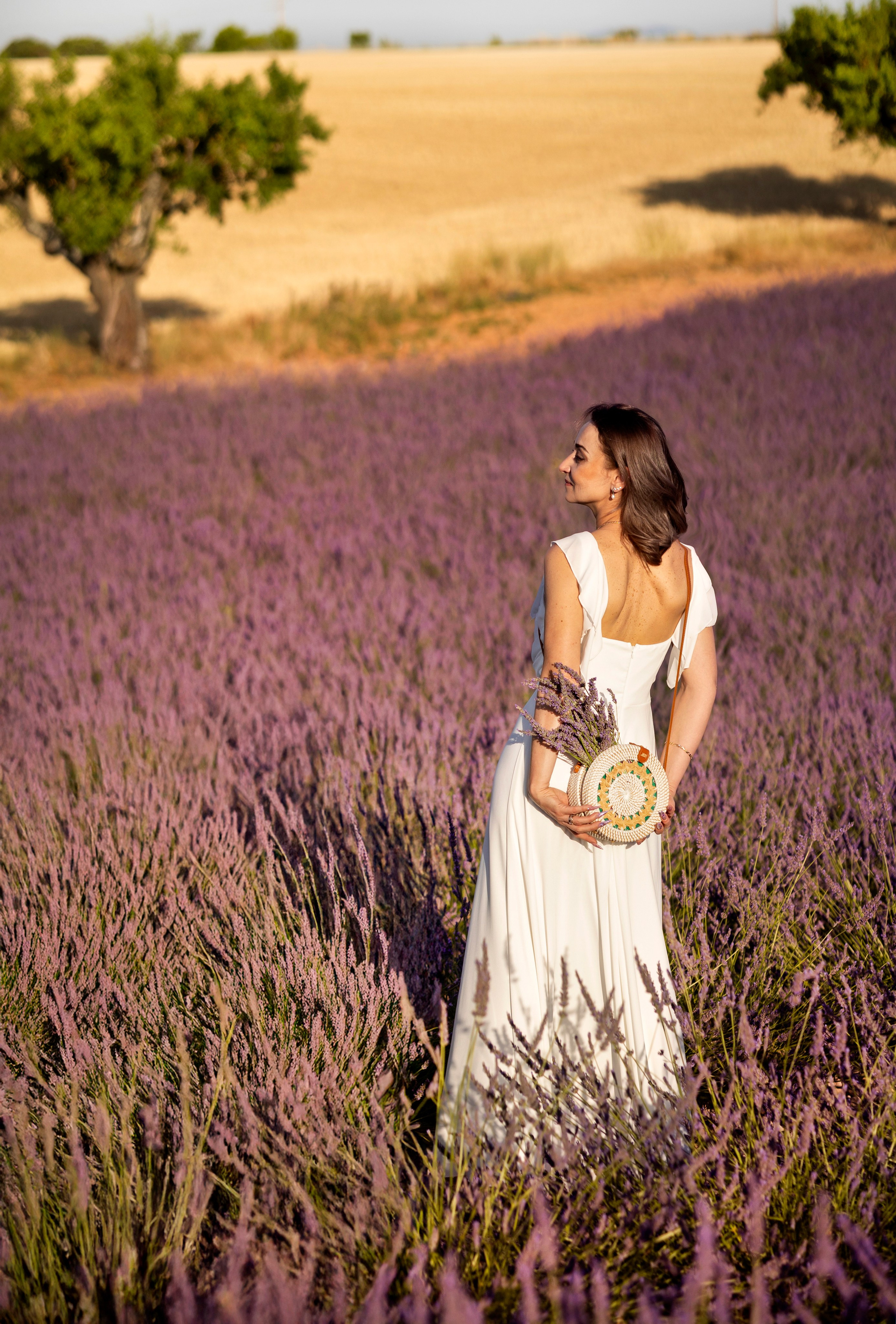 Provence. Фотограф в Мюнхене