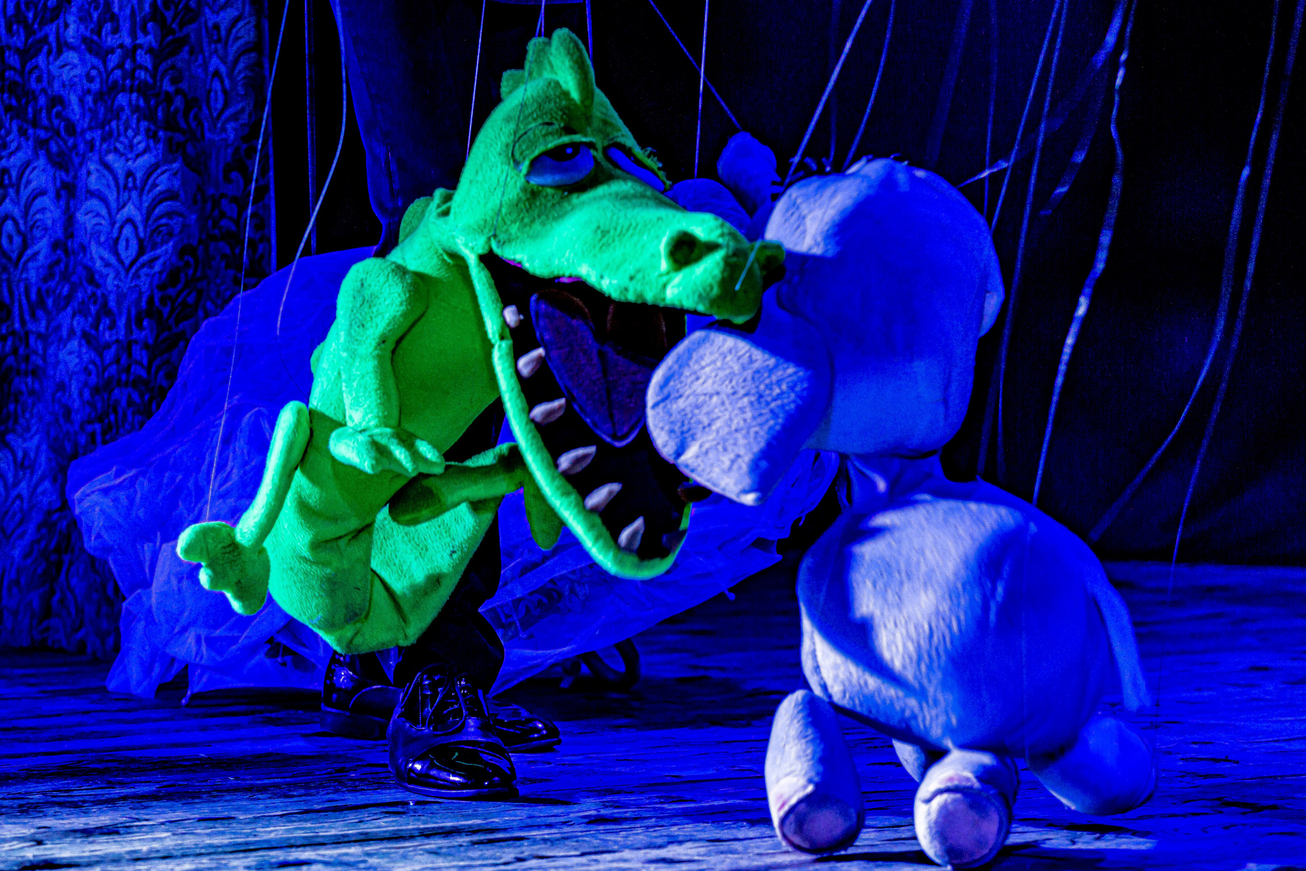 Любопытный слоненок спектакль театра Саквояж. Фотограф в Сочи Юрий Шептаев