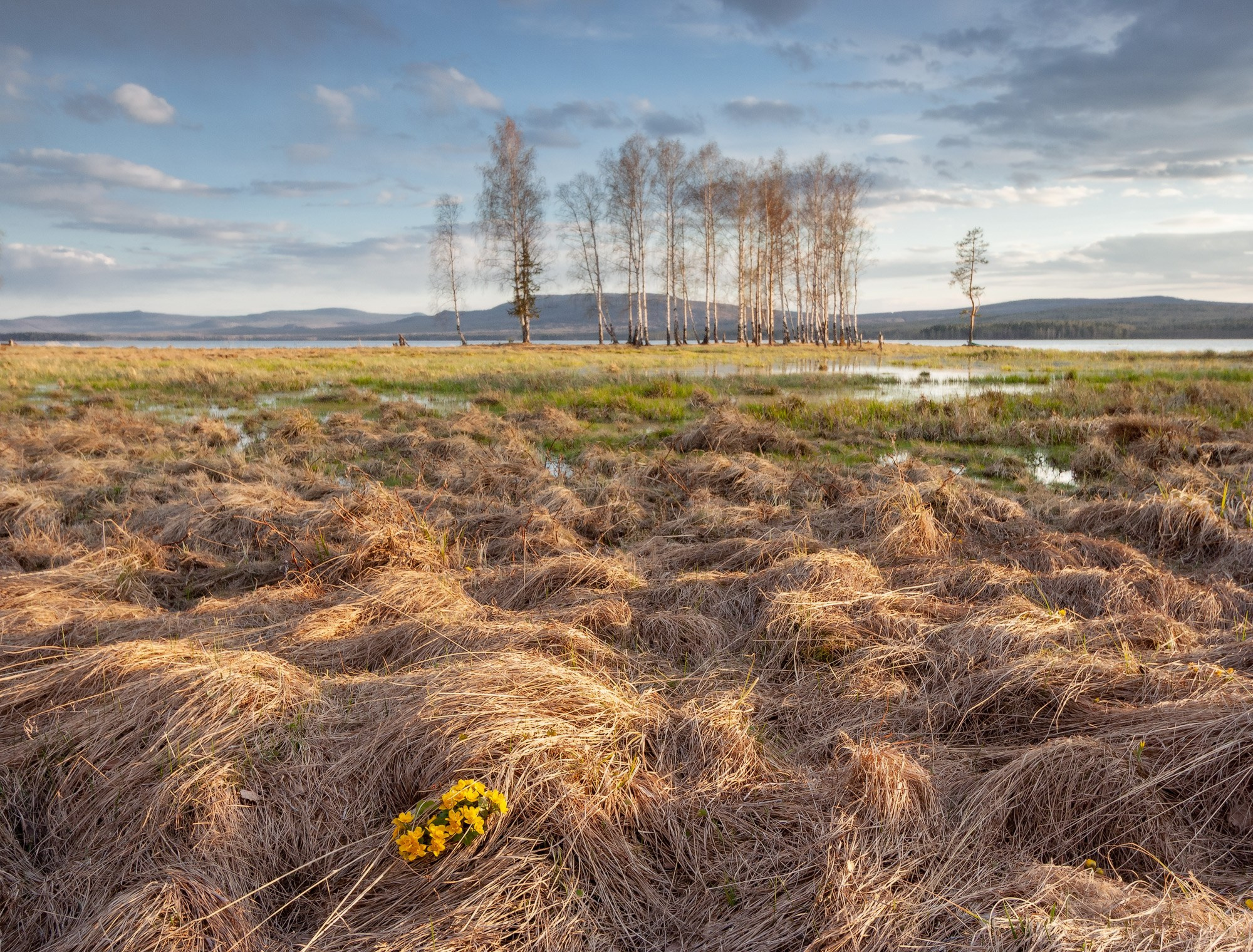 Весенние пейзажи Черноисточинска | Фотограф Николай Обухов