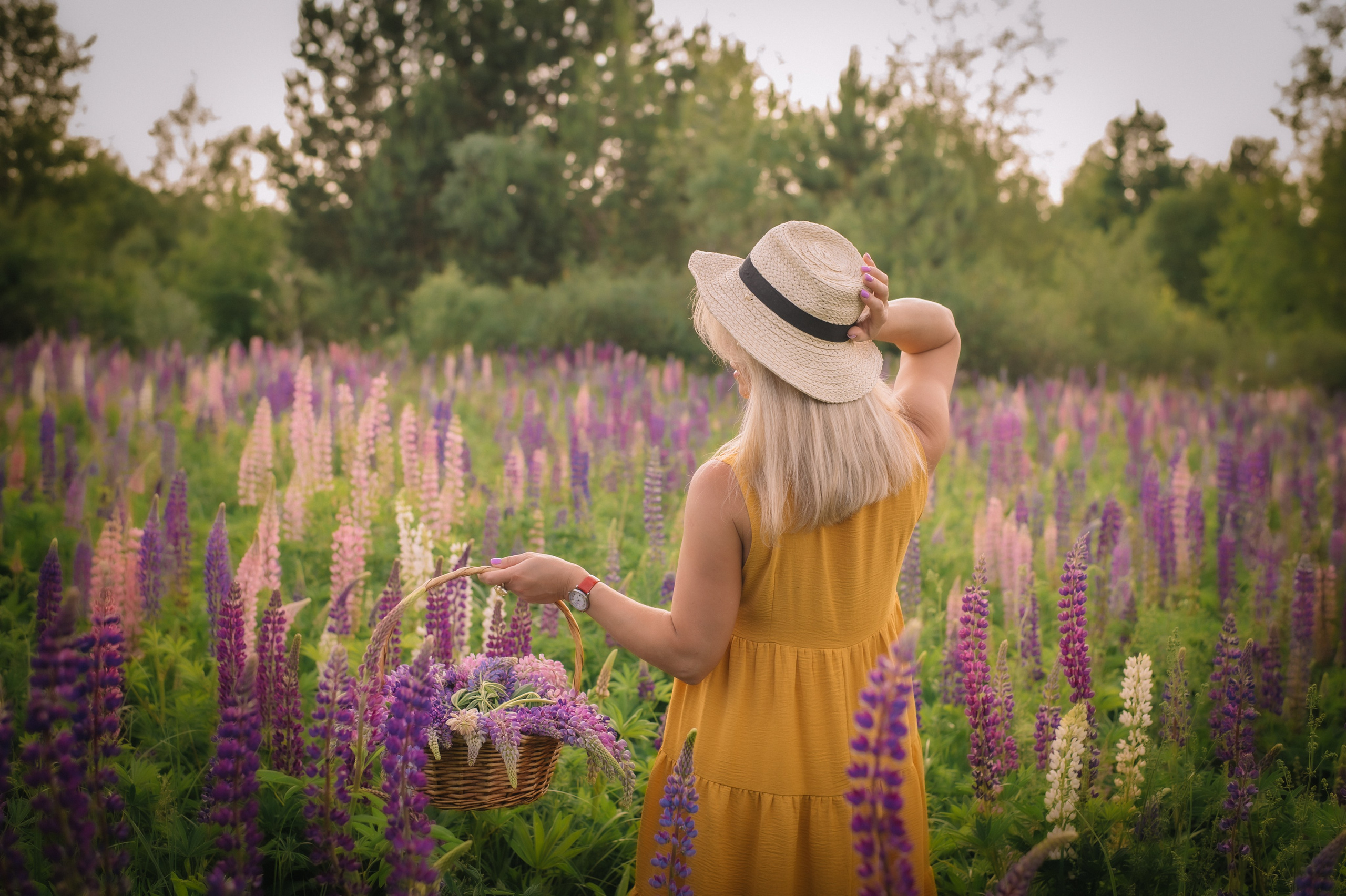 Фотосессия для Ирины в ЛЮПИНАХ. Яна Муравлева |фотограф город Пенза