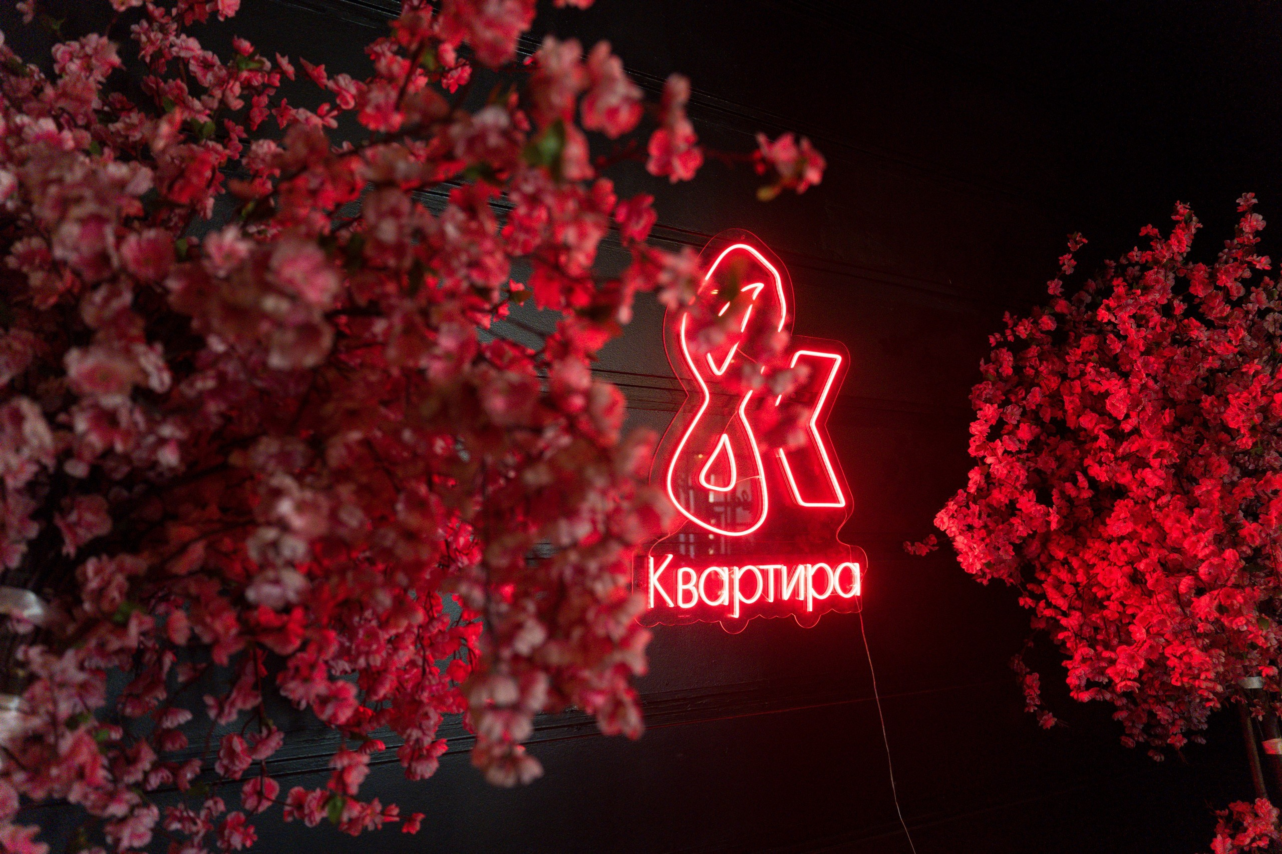 HELENICA. Репортажная съёмка в Санкт-Петербурге, Константин Петров