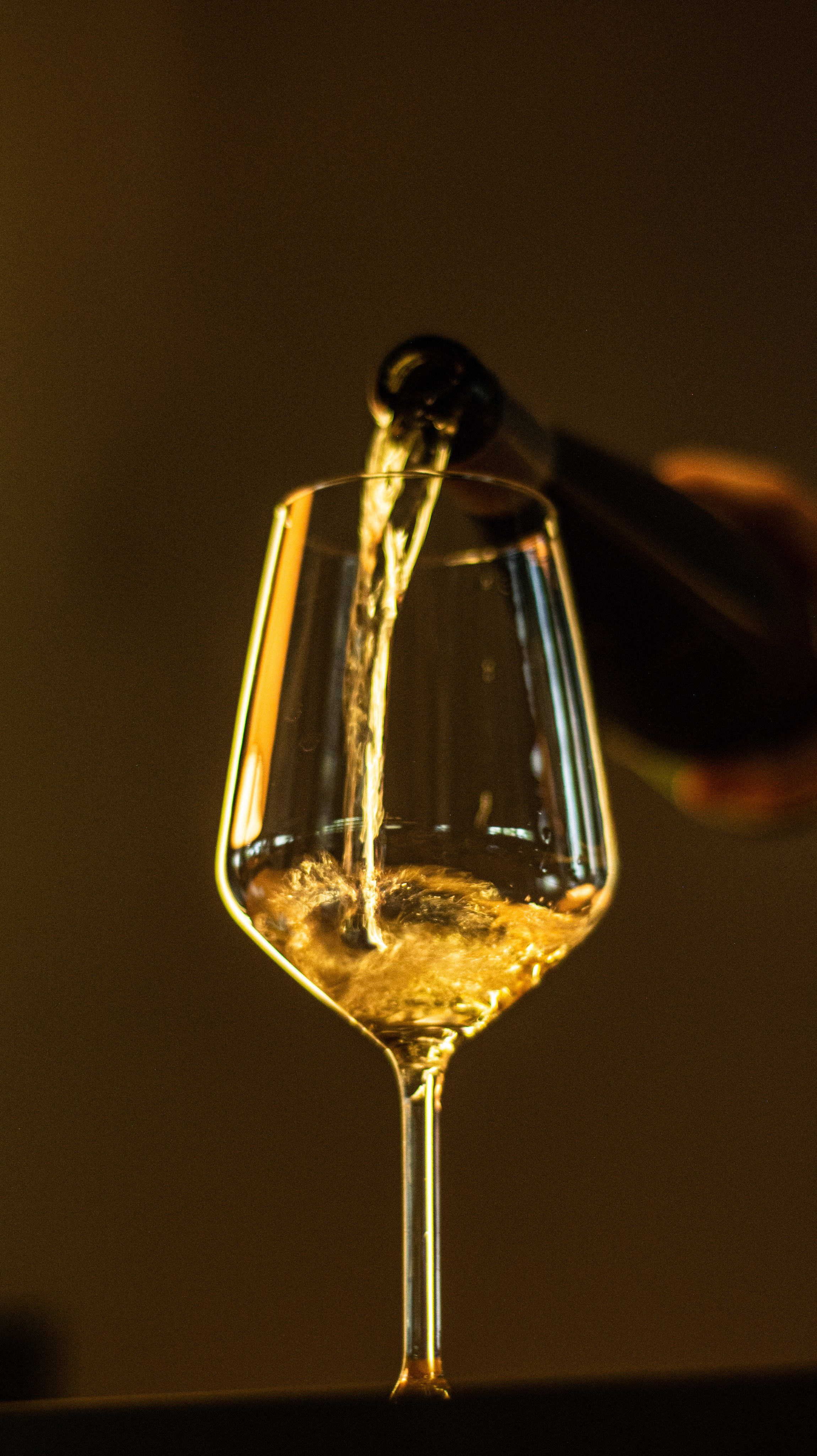 HoReCa. Noffocus — фотограф в Санкт-Петербурге | Контент и арт-съёмка