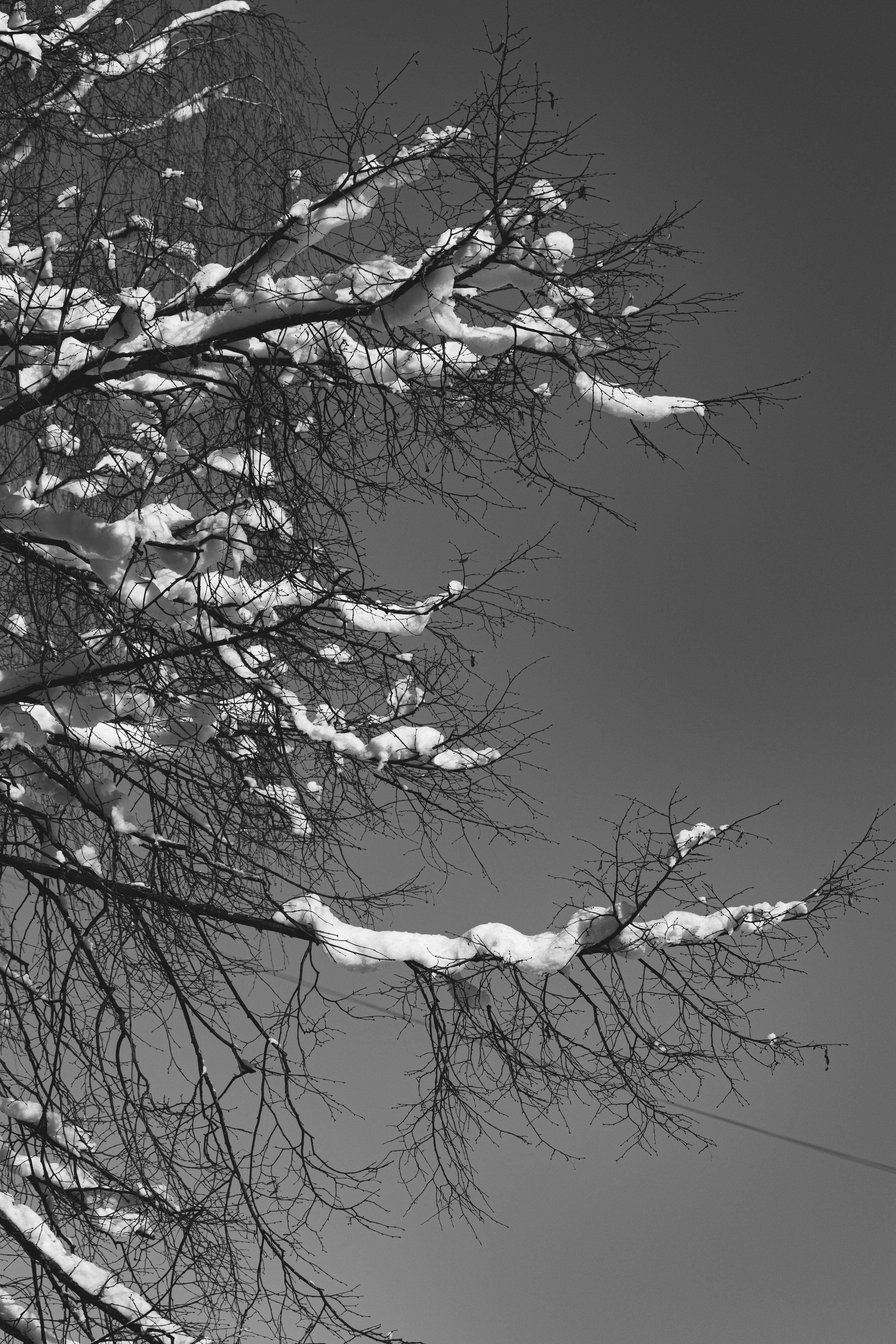 Ч \ Б. — Digital Noise —