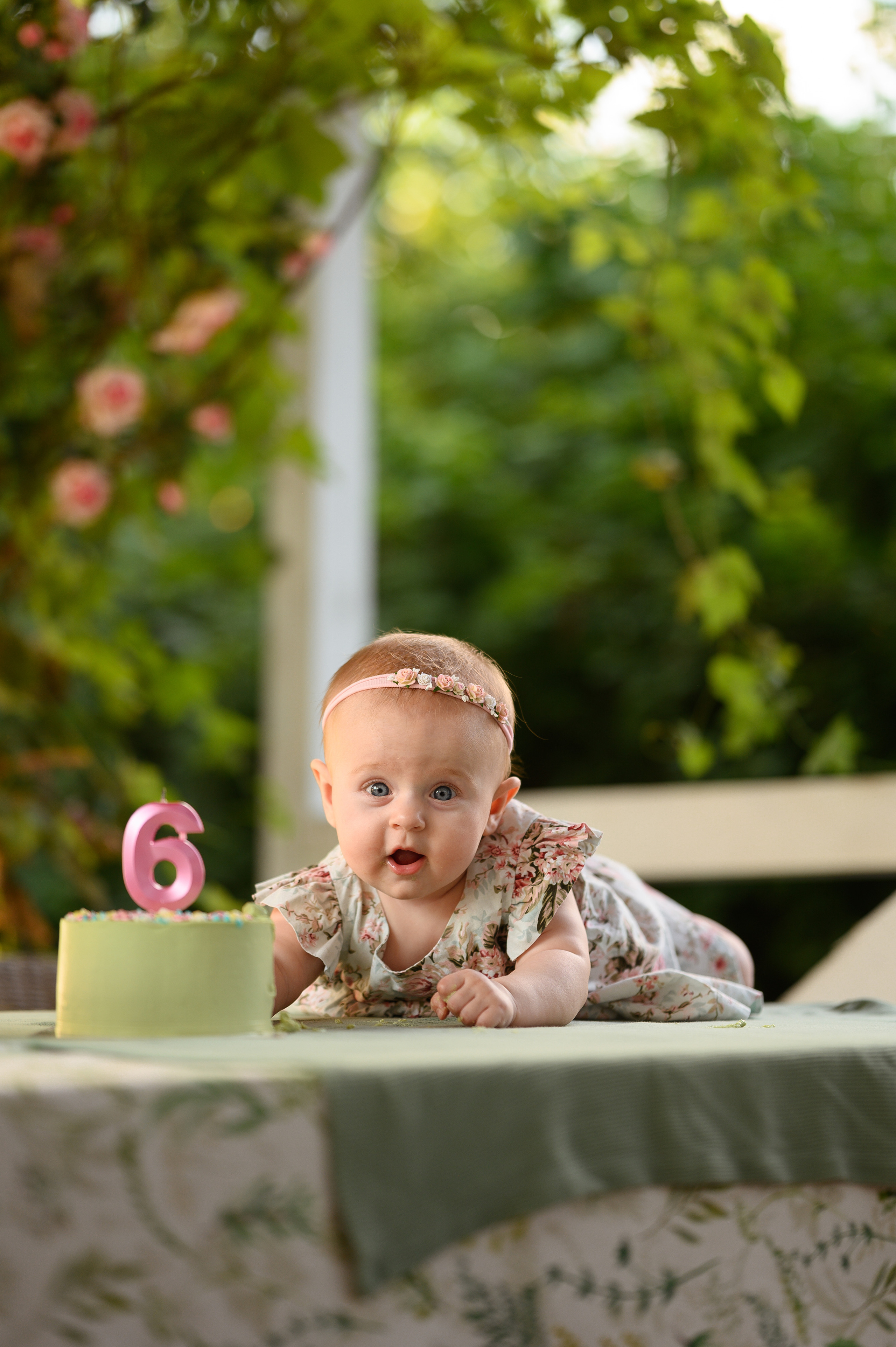 Алисе 6 месяцев. Детский и семейный фотограф Ирина Гладких